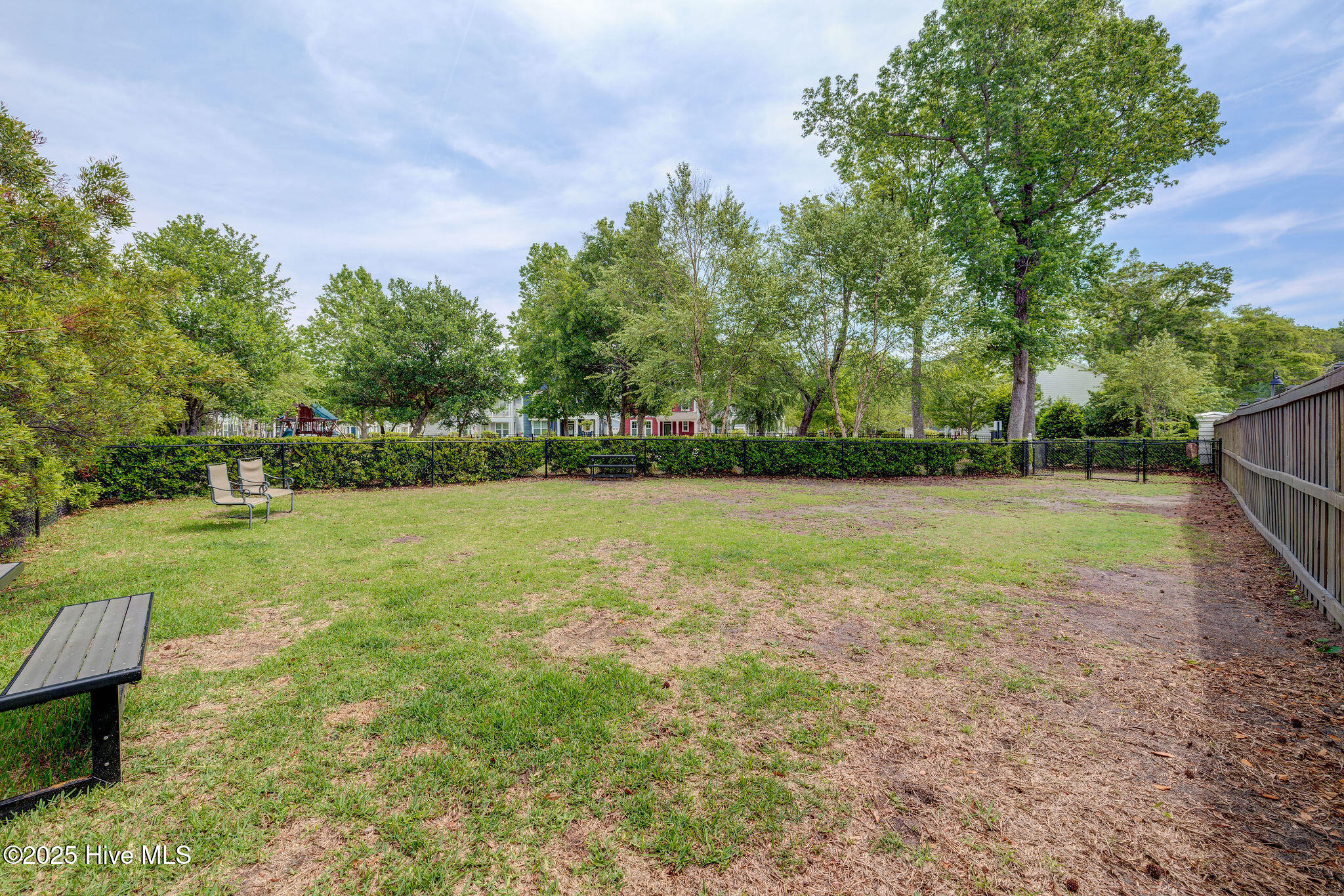 100529833 | Photo 58