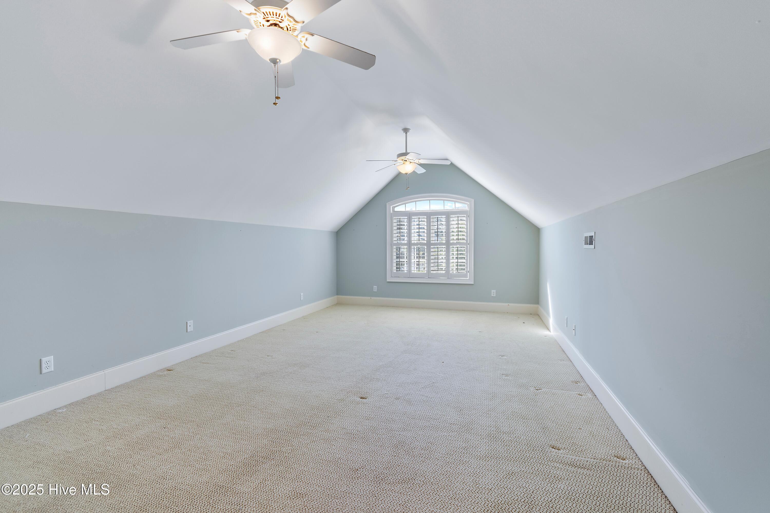 100504697 | Photo 40