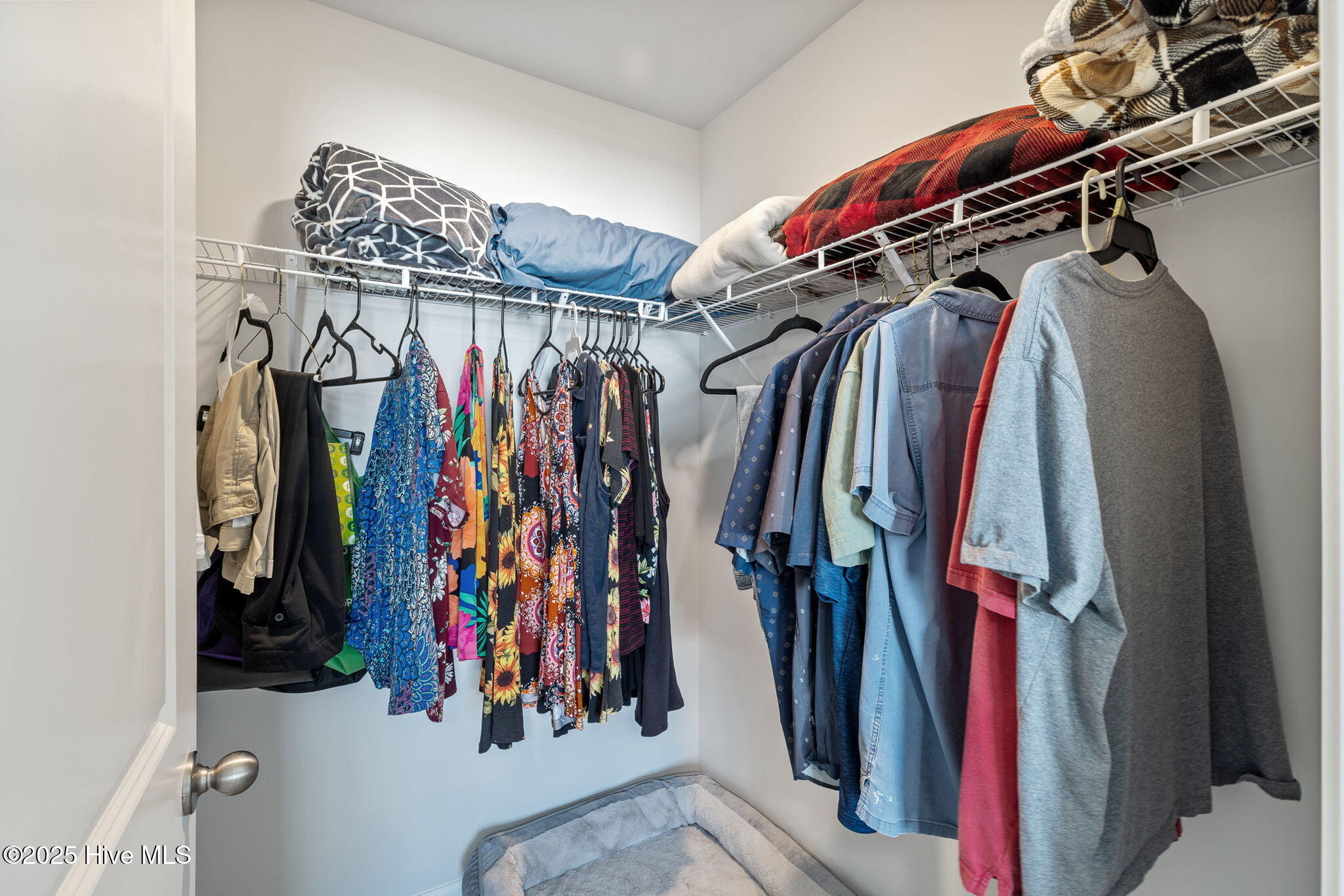 100531495 | Photo 21