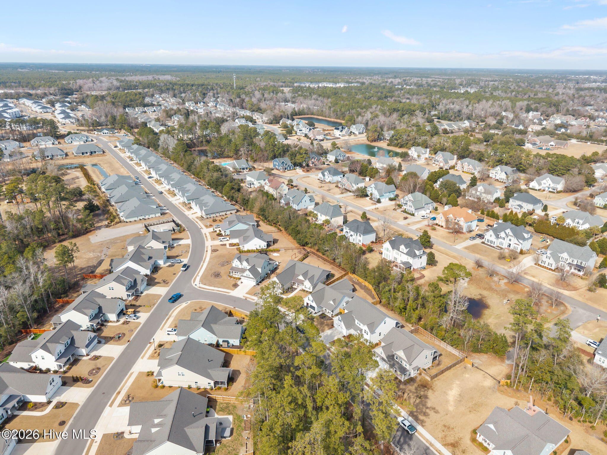 100555424 | Photo 10