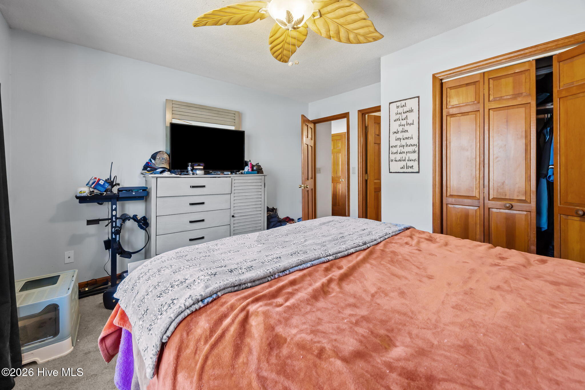 100554943 | Photo 13