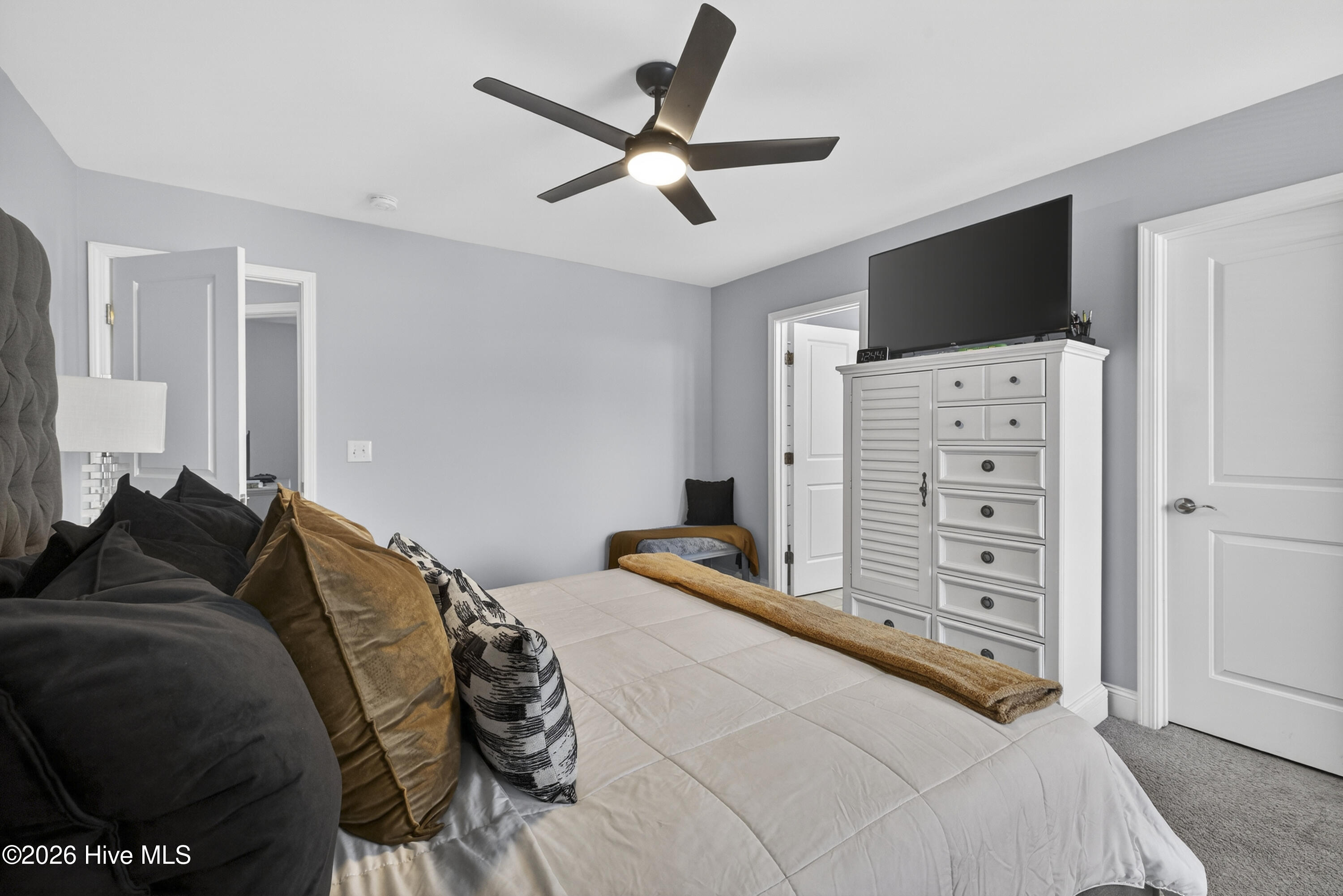 100563705 | Photo 19