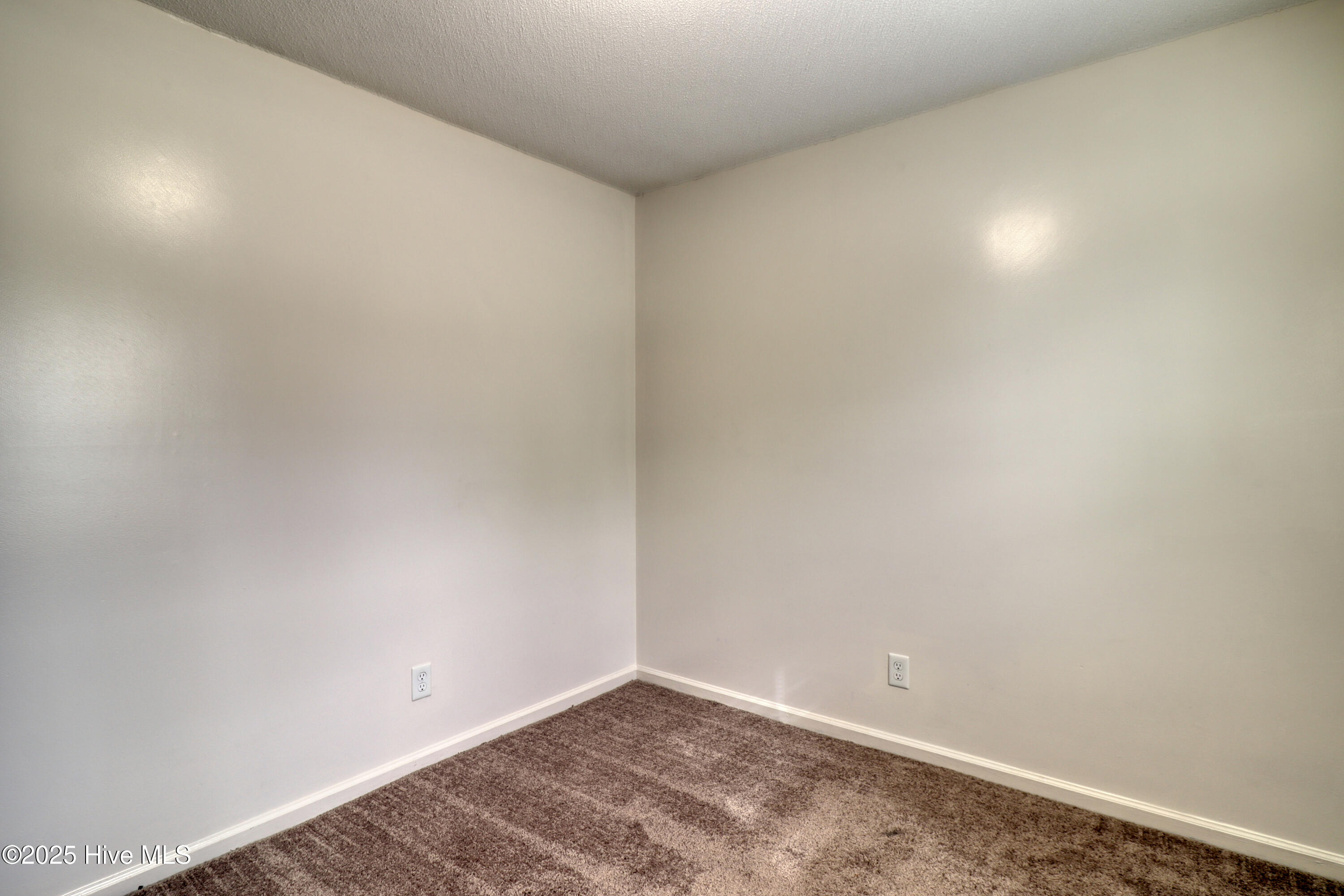 100519123 | Photo 11