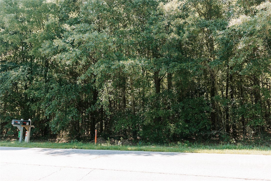 Homes for sale in Lexington, GA | 0 Lexington Carlton Rd, Lexington, GA 30648 | MLS# CL360603