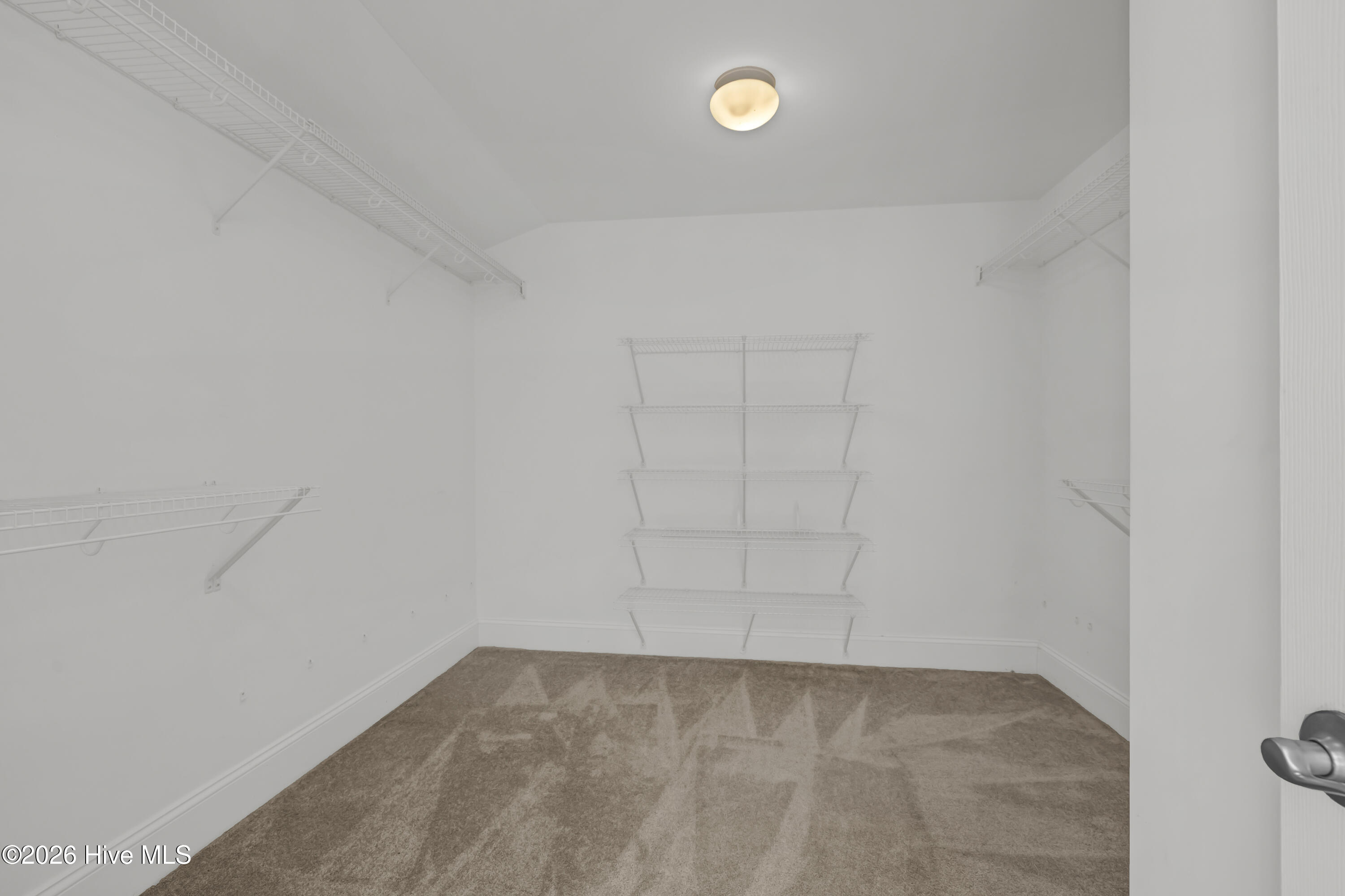 100555649 | Photo 26