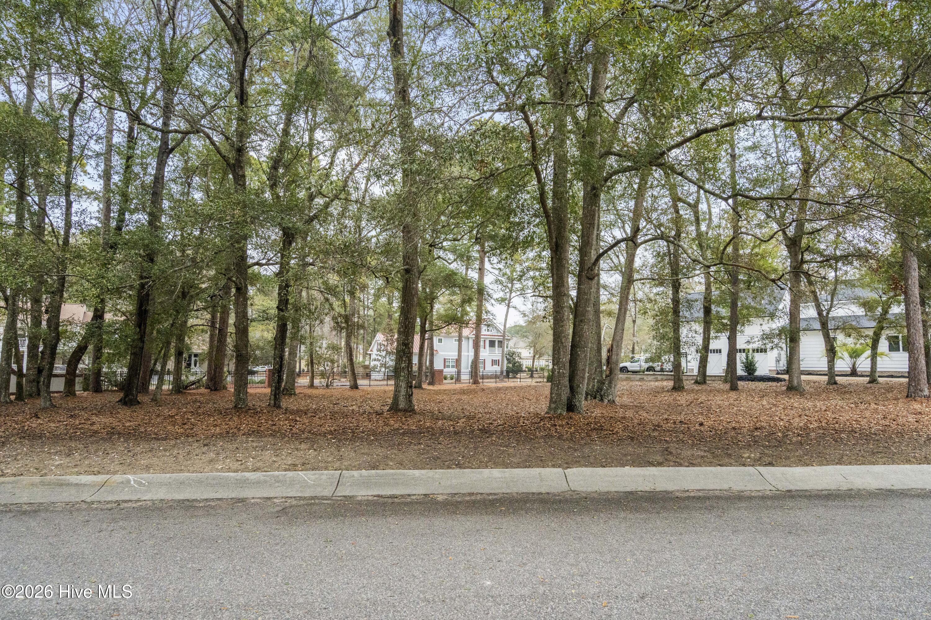 100553225 | Photo 14