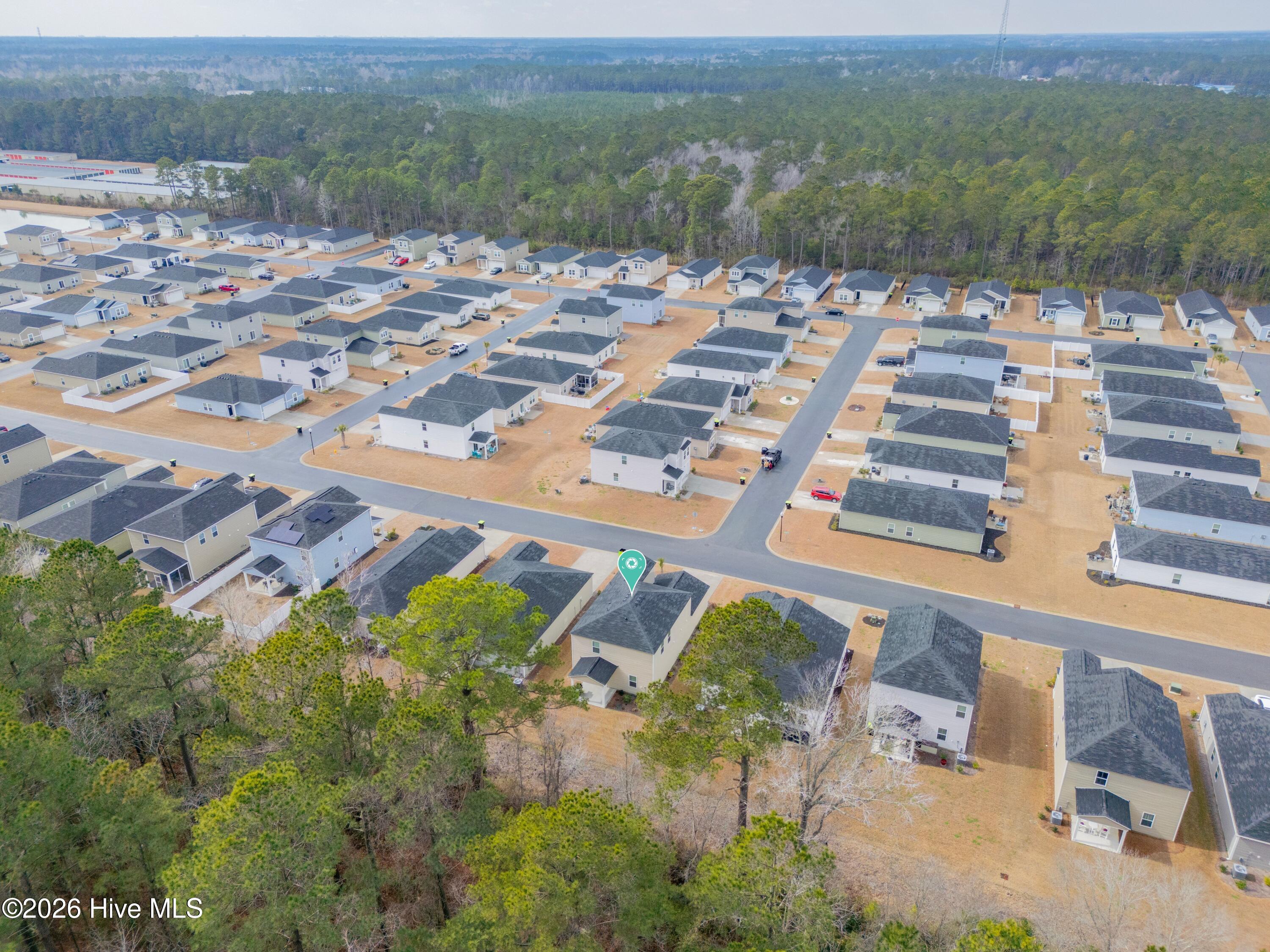 100554355 | Photo 39