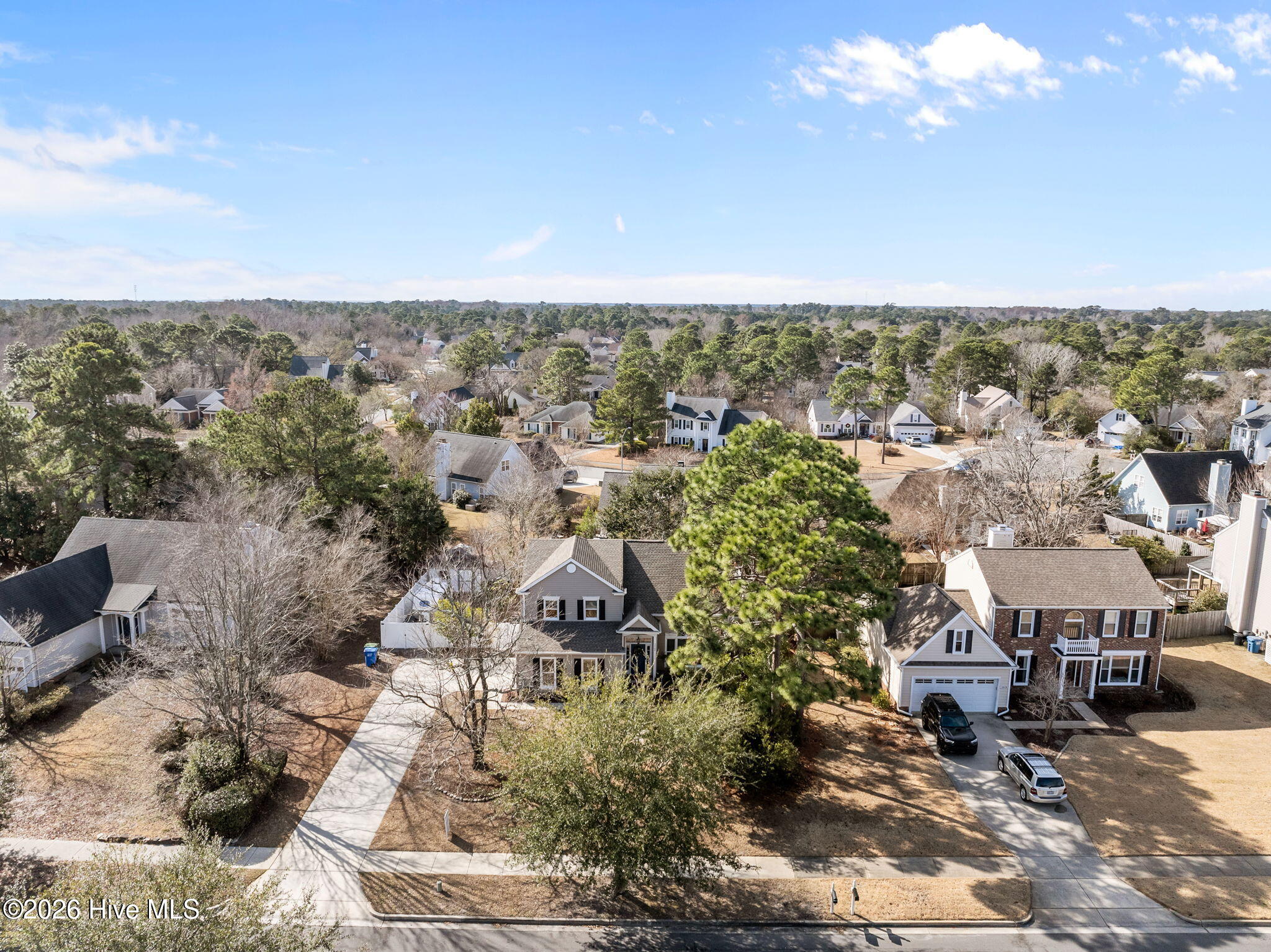 100547043 | Photo 49