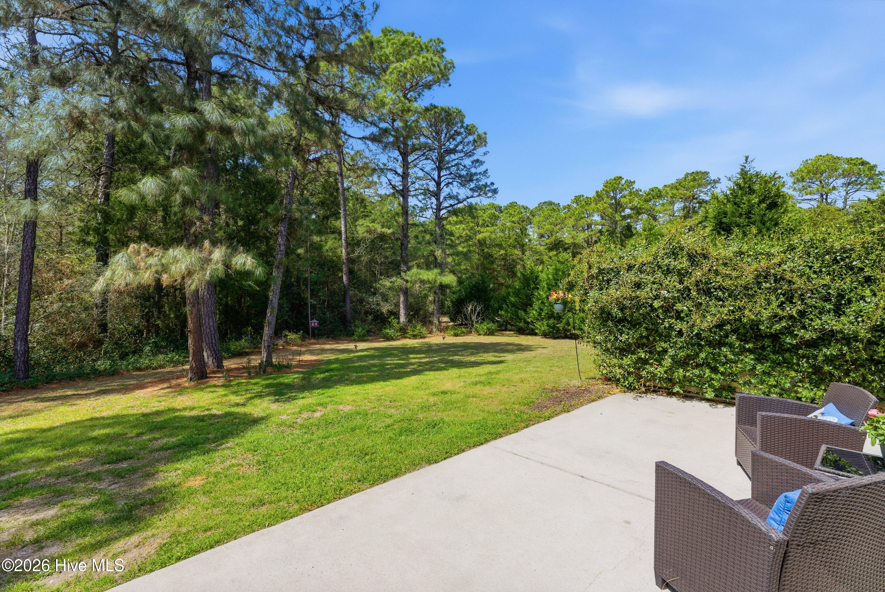 100563576 | Photo 45