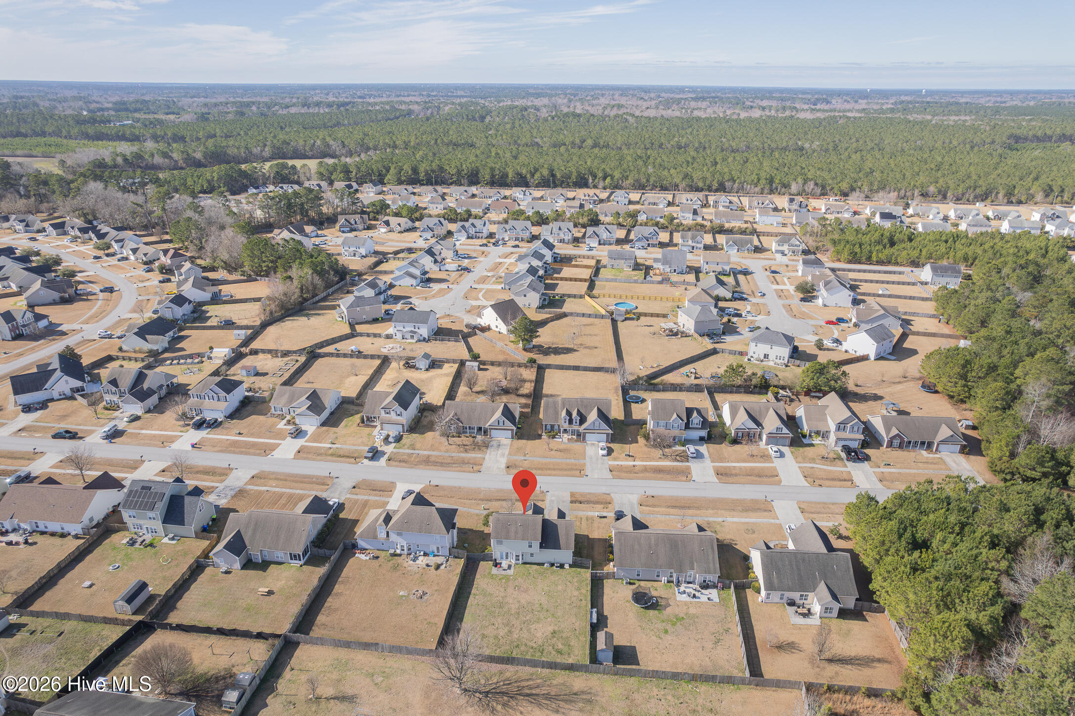 100554733 | Photo 62