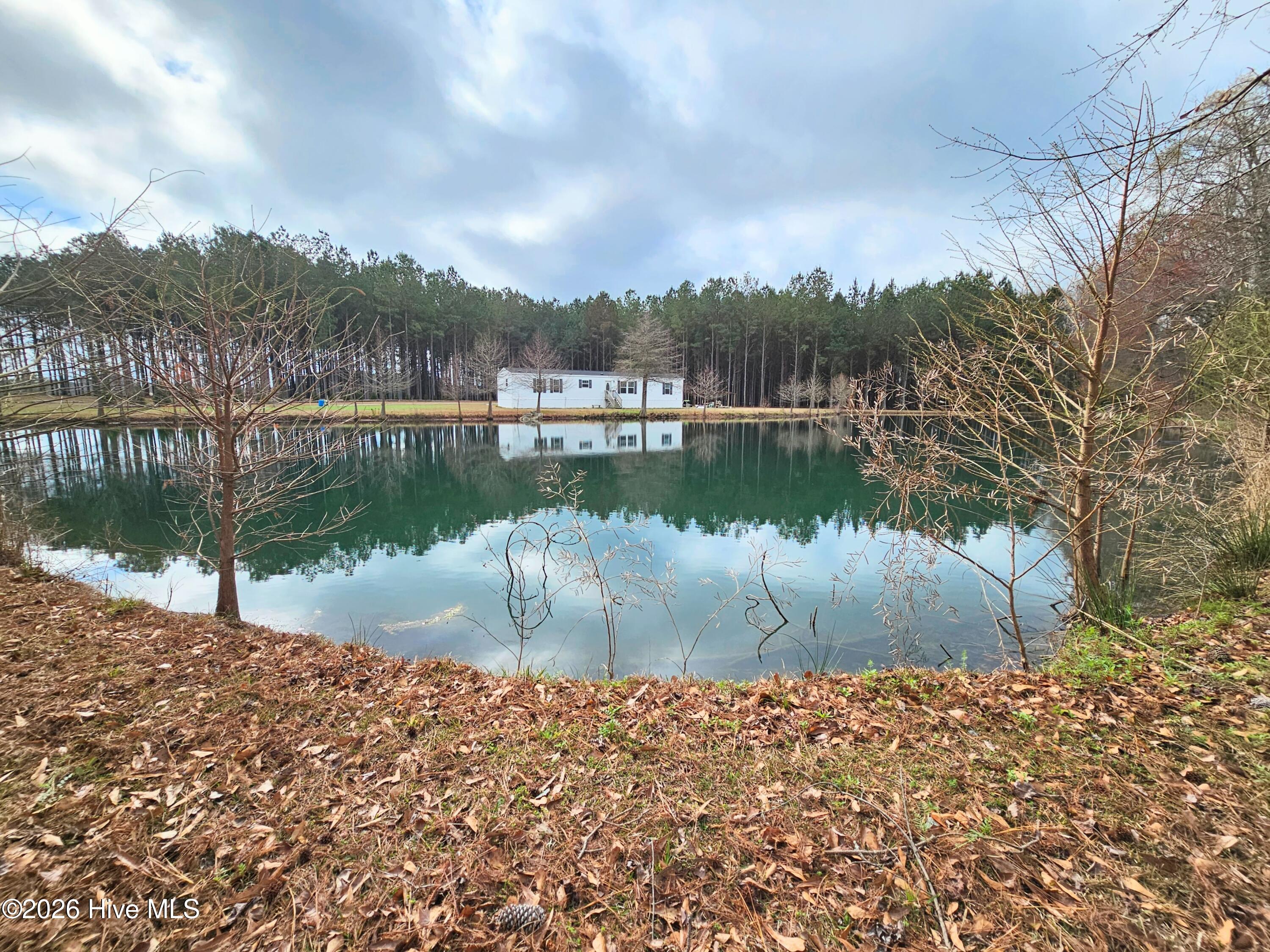 100559049 | Photo 19