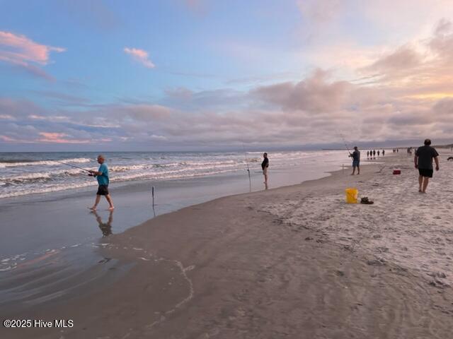 100496126 | Photo 82