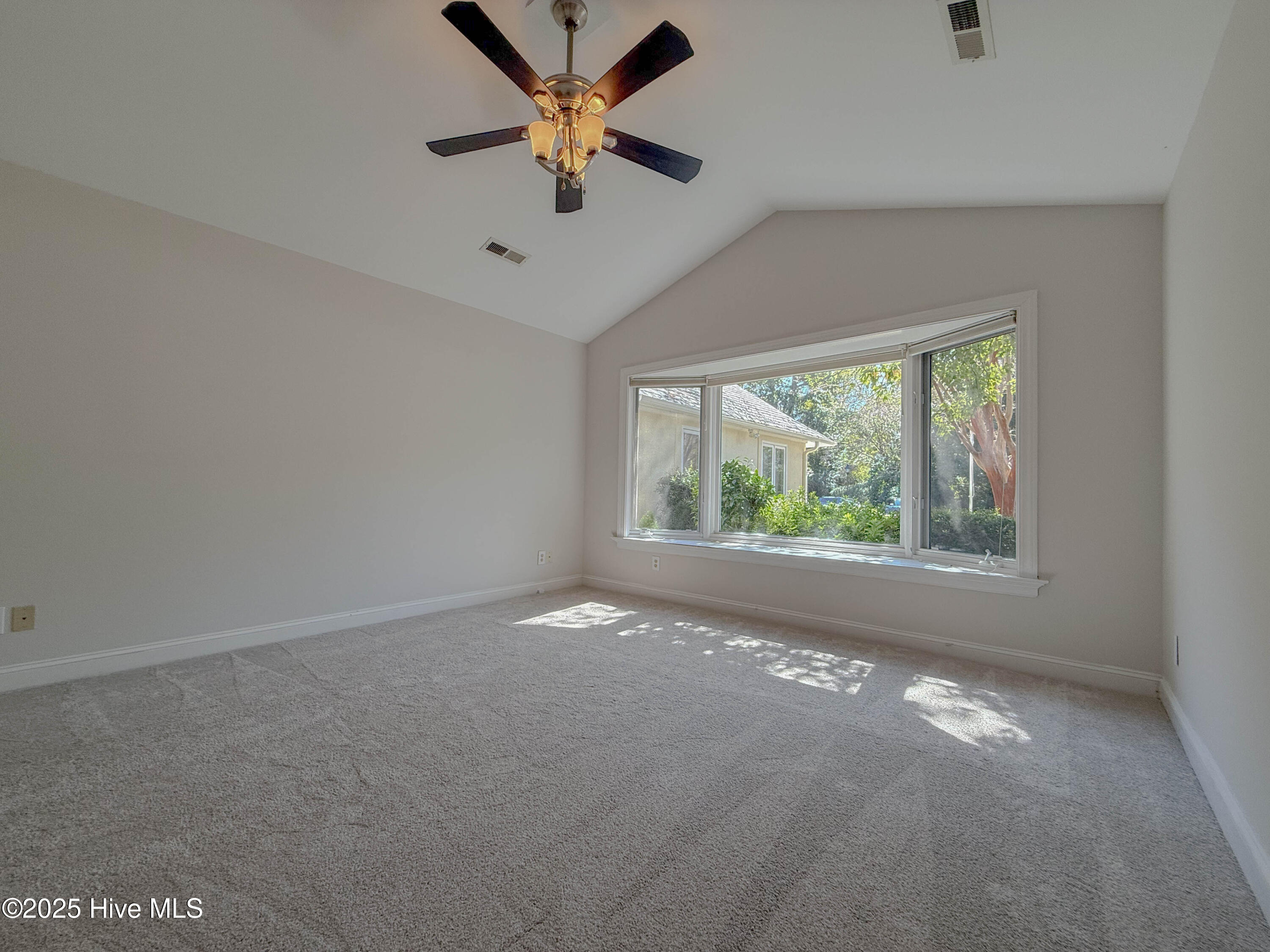 100535071 | Photo 36