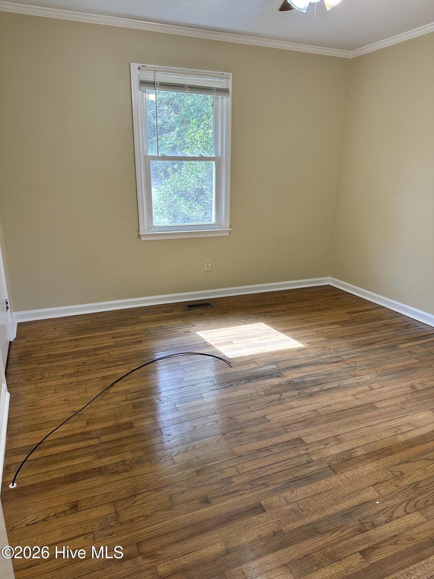 100562278 | Photo 17