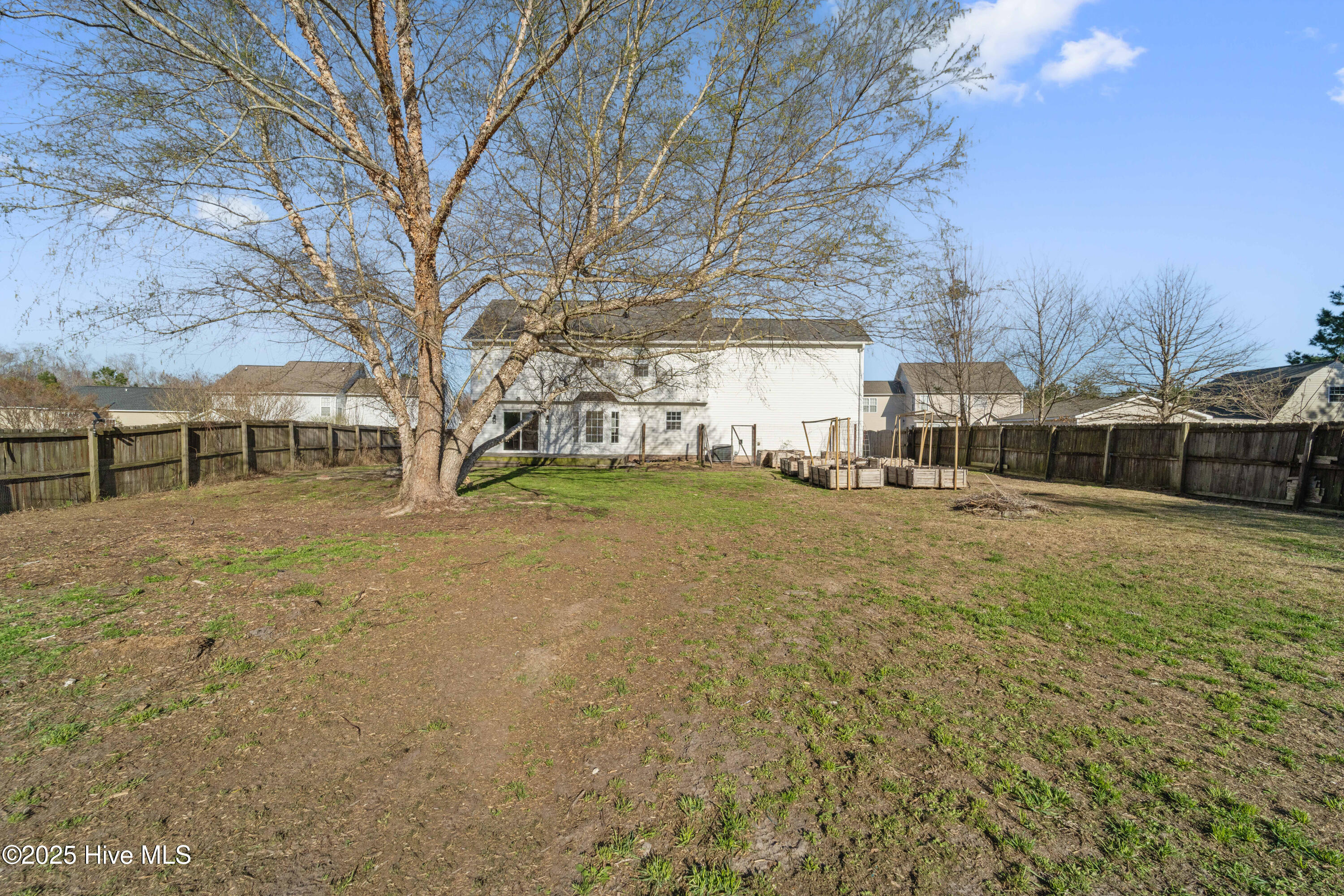 100556361 | Photo 20