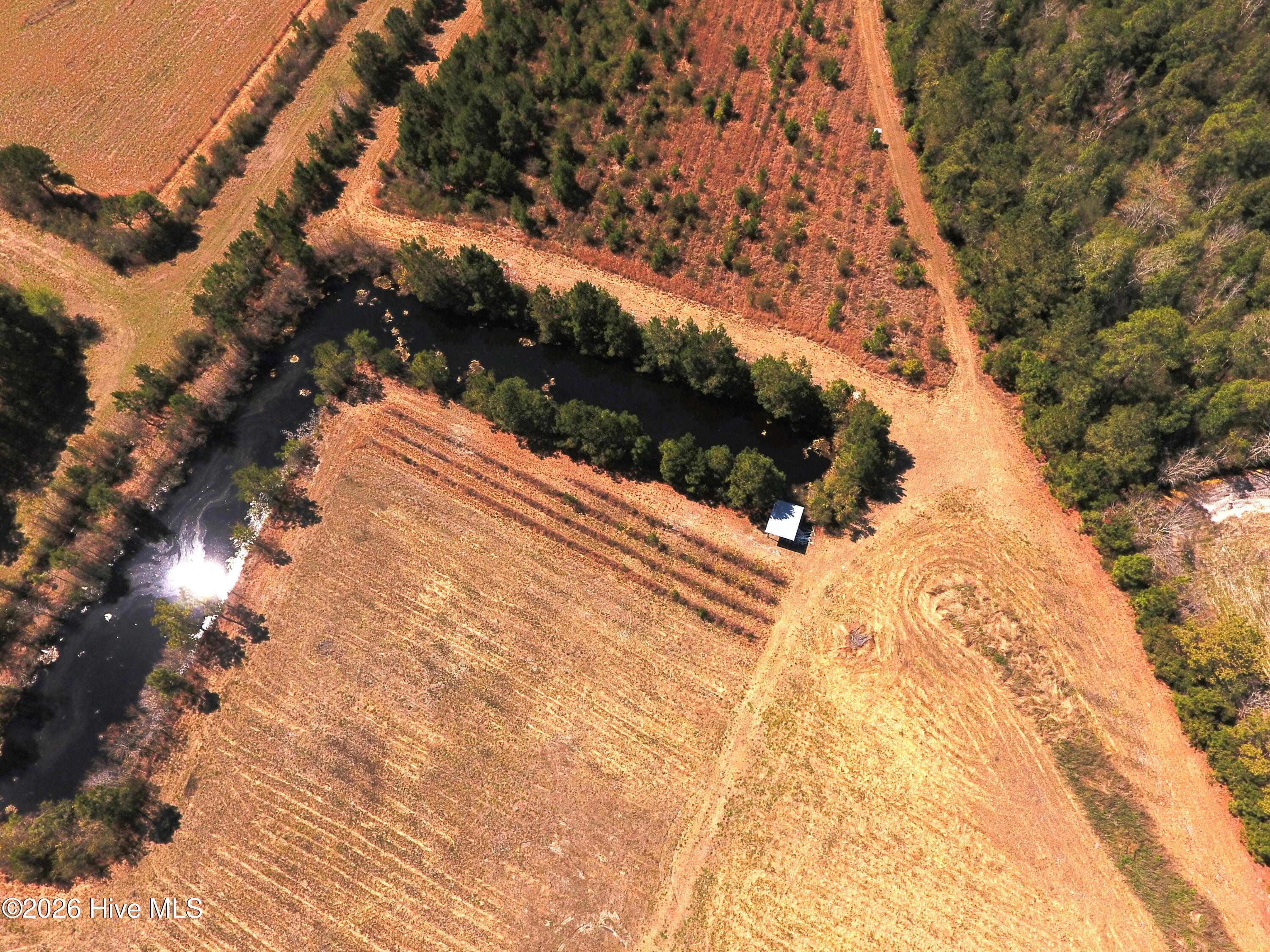 Shirley Johnson - MLS Number: 100562782