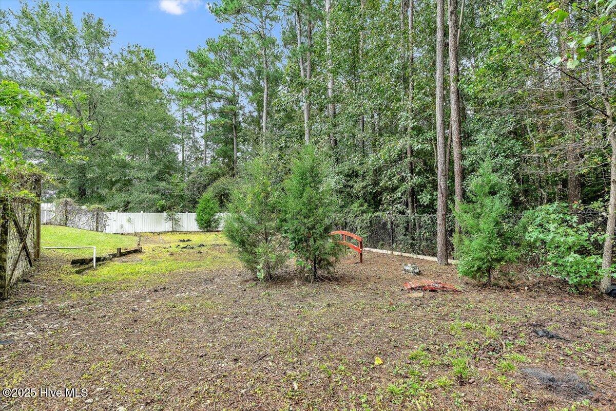 100534566 | Photo 98