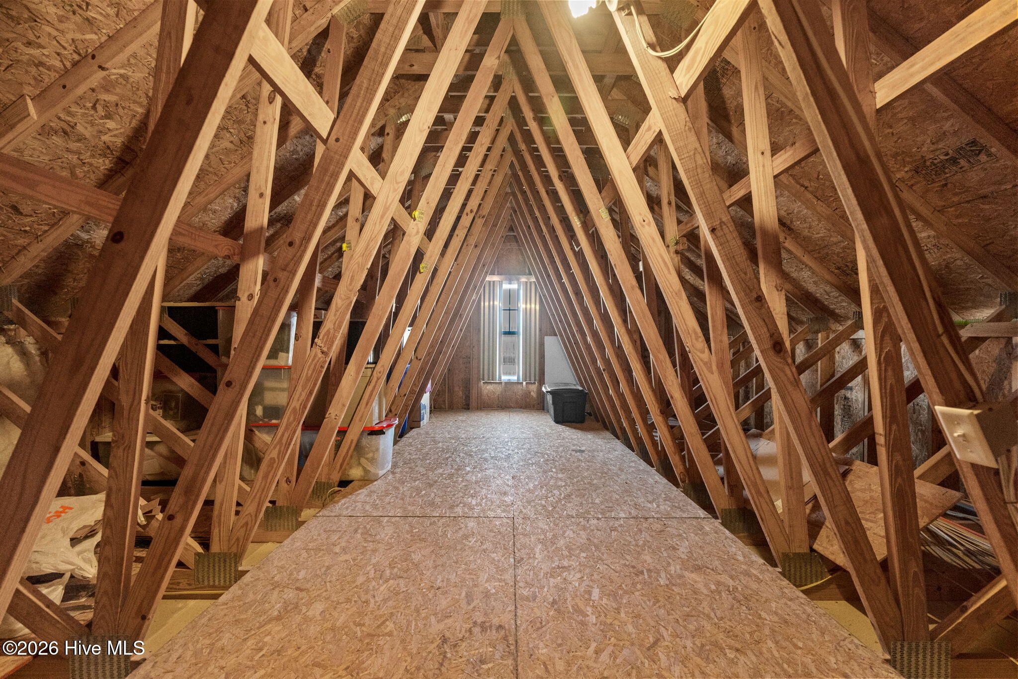 100546321 | Photo 33