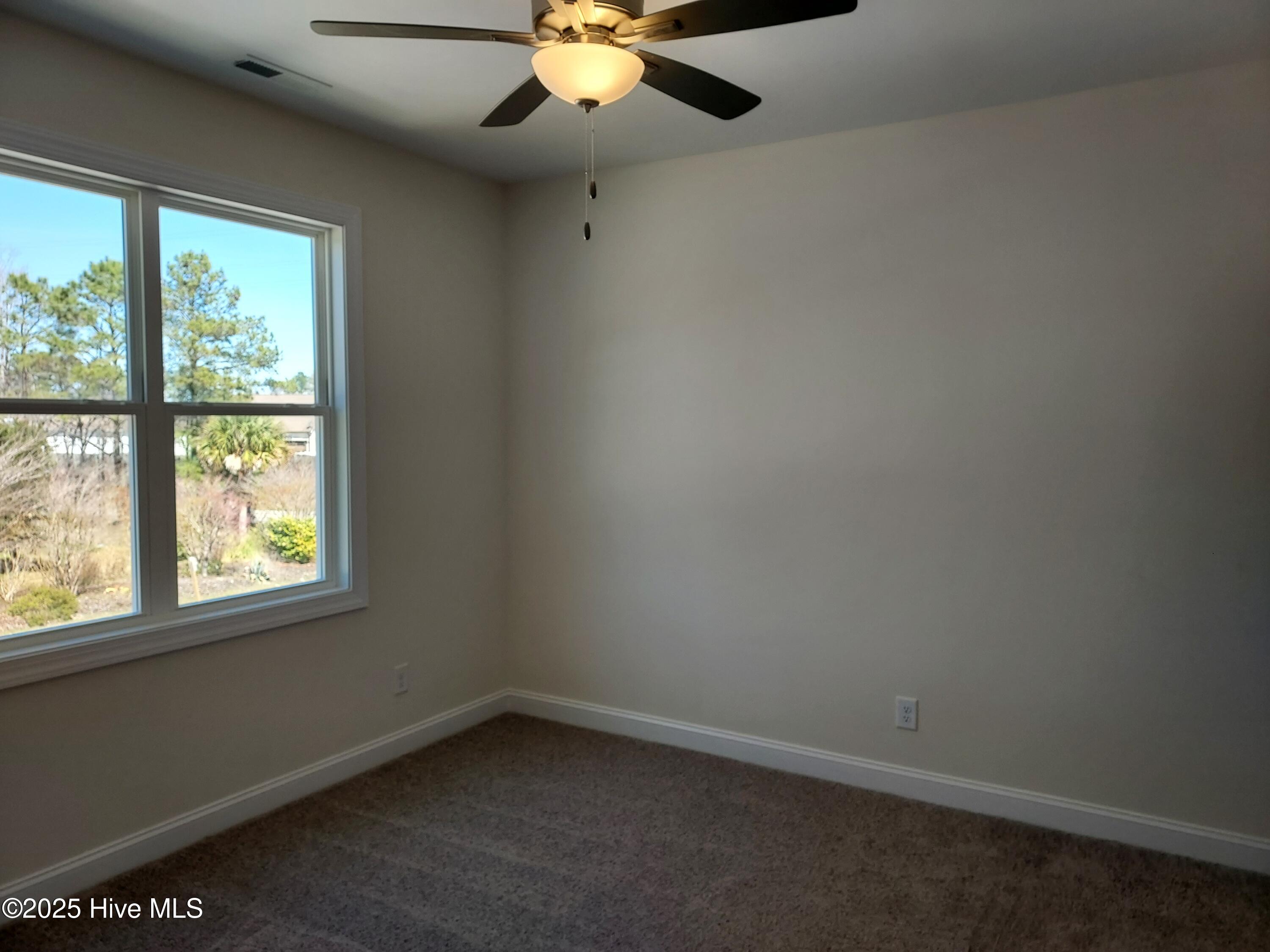 100506843 | Photo 20