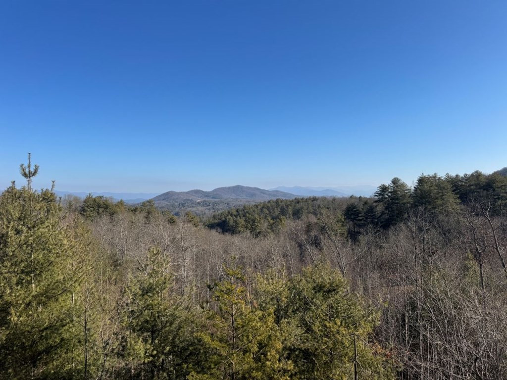 821 Point Overlook Trail, Murphy, NC 28906 Listing Photo  2