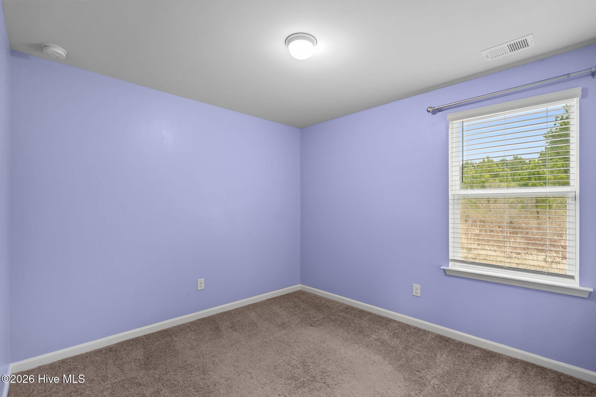 100555354 | Photo 24