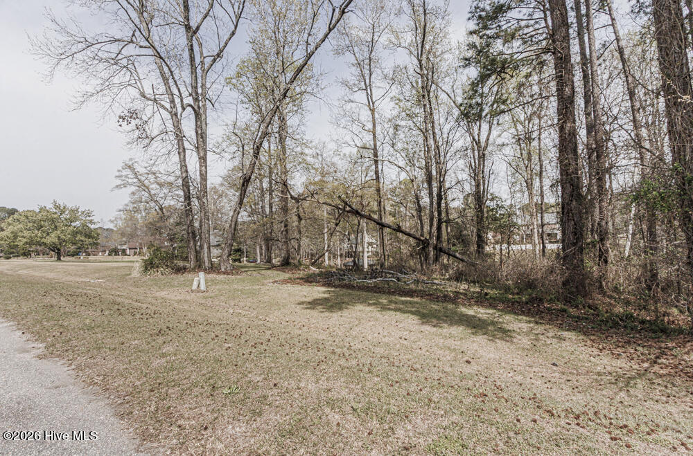100561851 | Photo 3