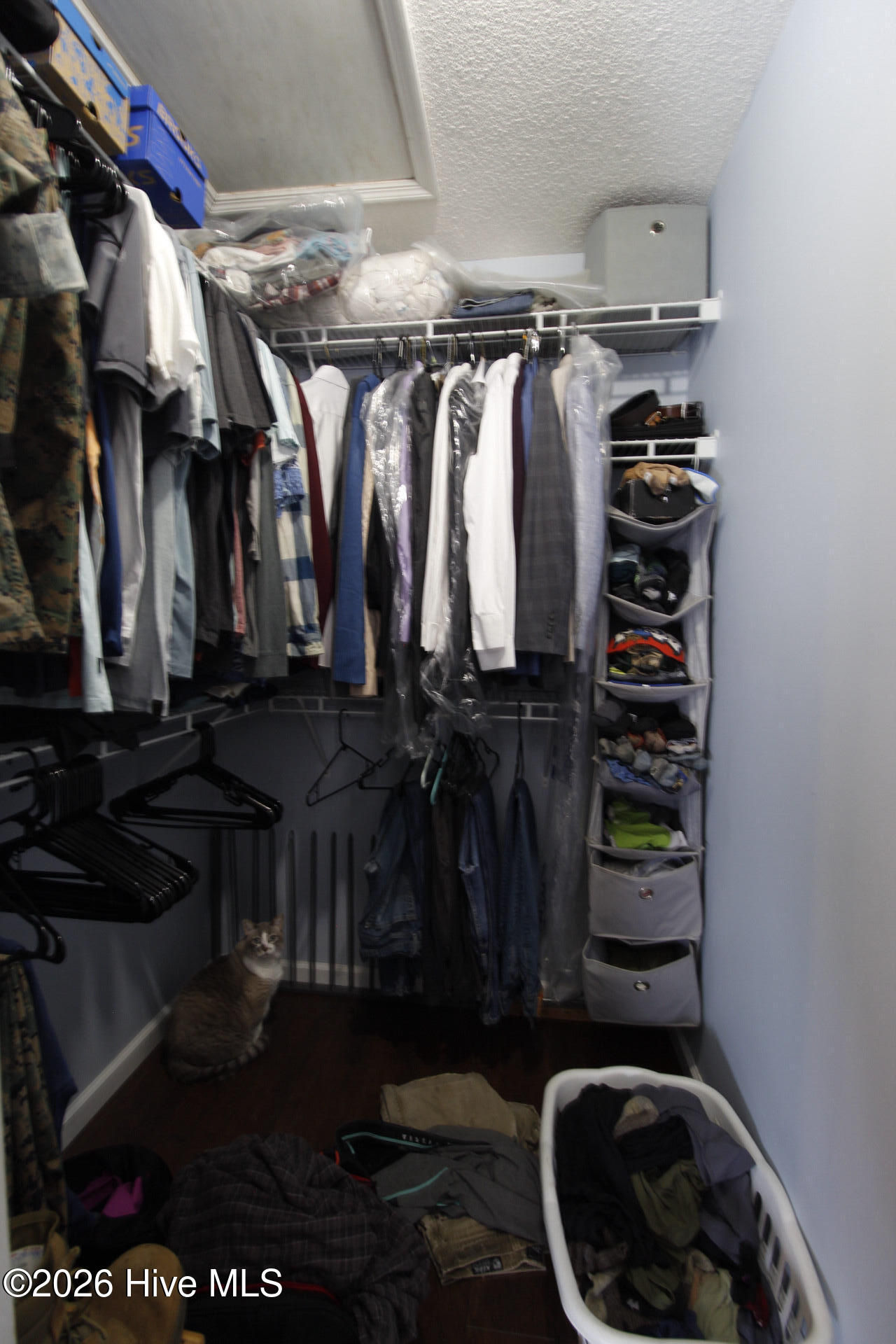 100569547 | Photo 17