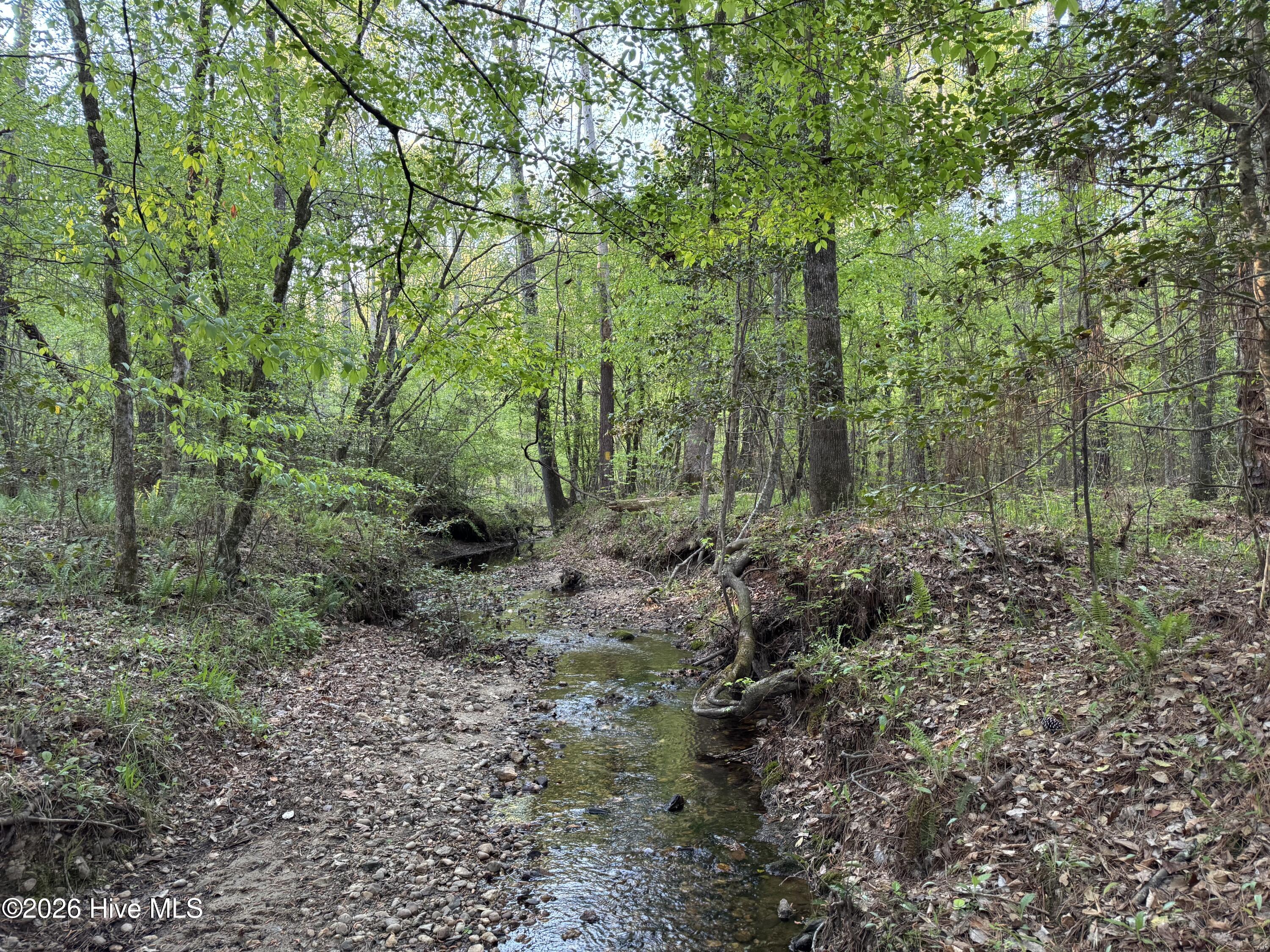 Cartledge Creek