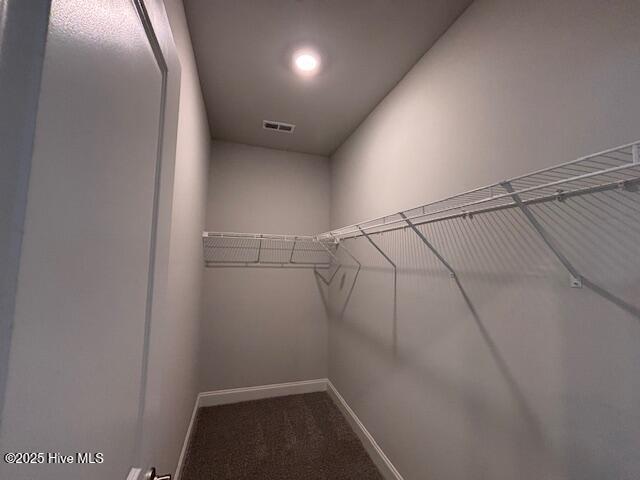 110 Firethorn Circle, Wallace, NC 28466 – photo 16: 110 Firethorn