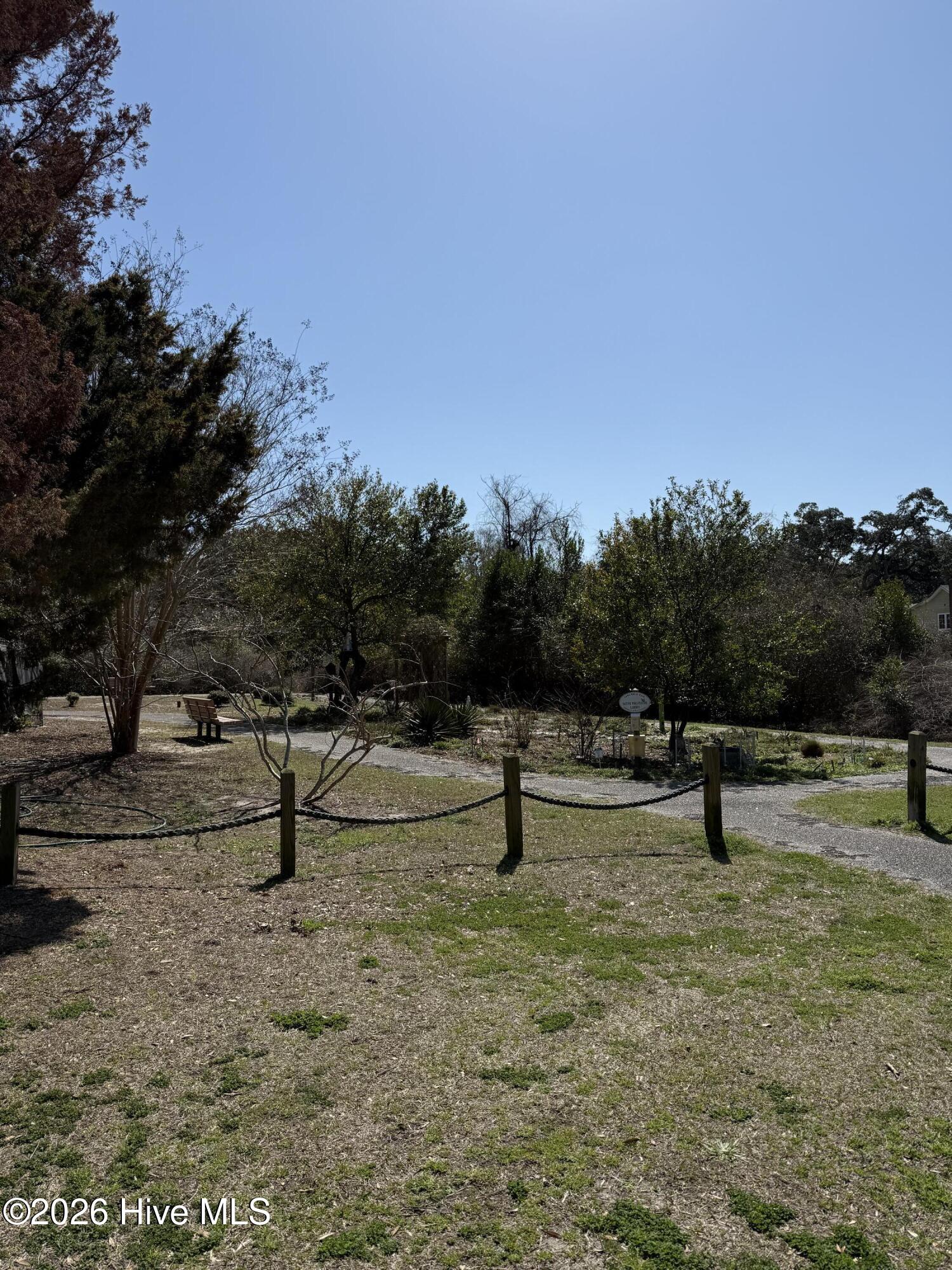 100558636 | Photo 10