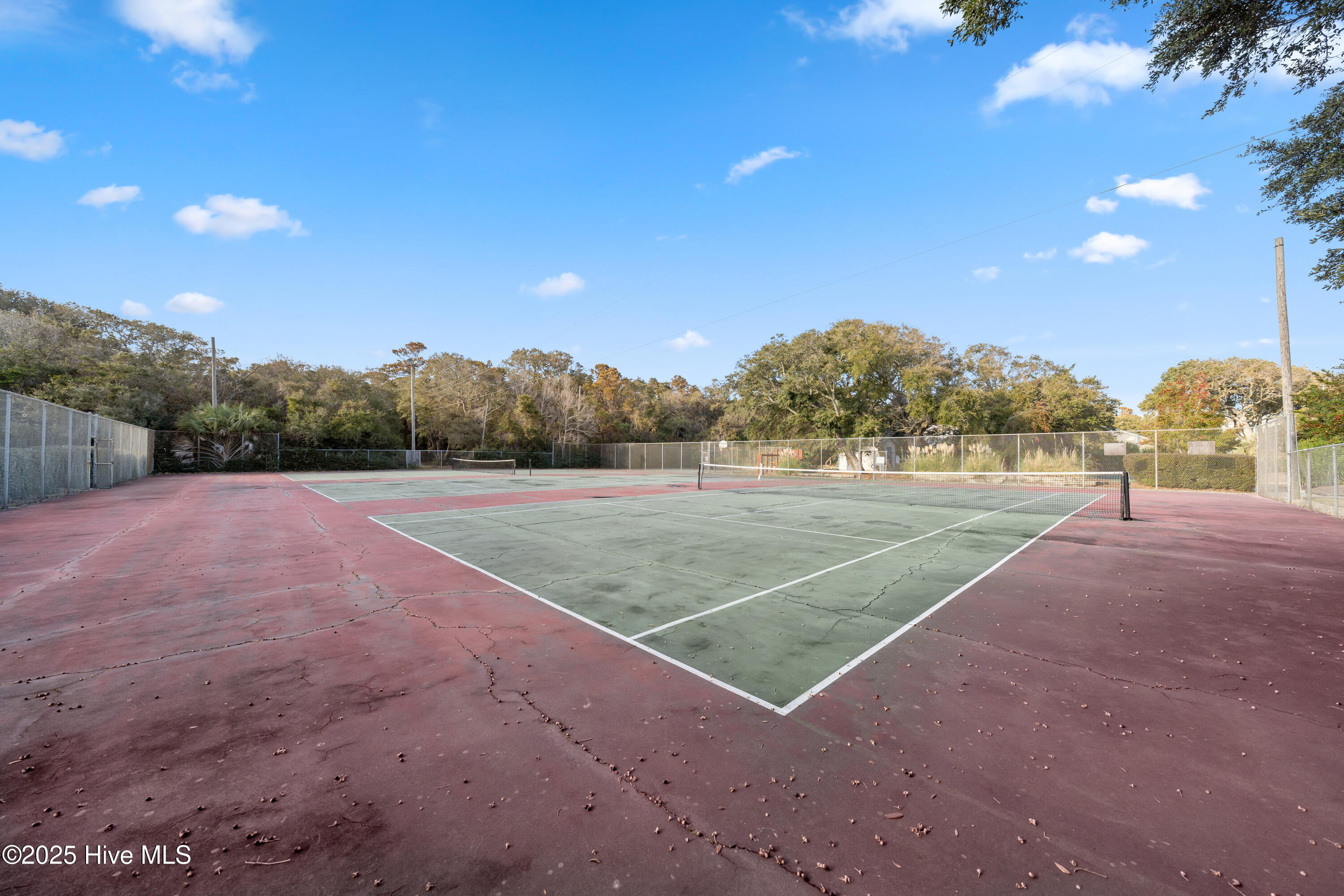 100560966 | Photo 83