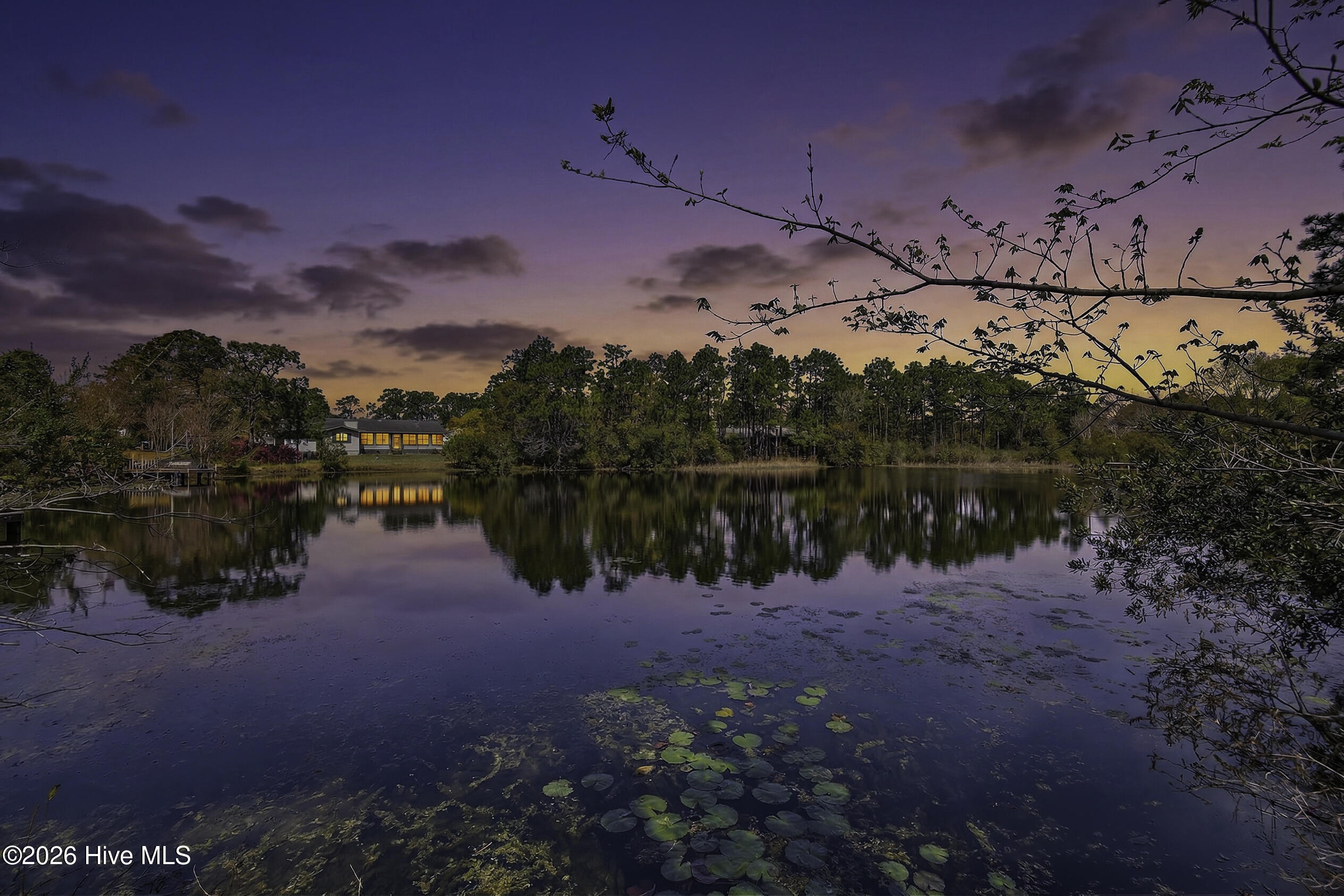 100548706 | Photo 63