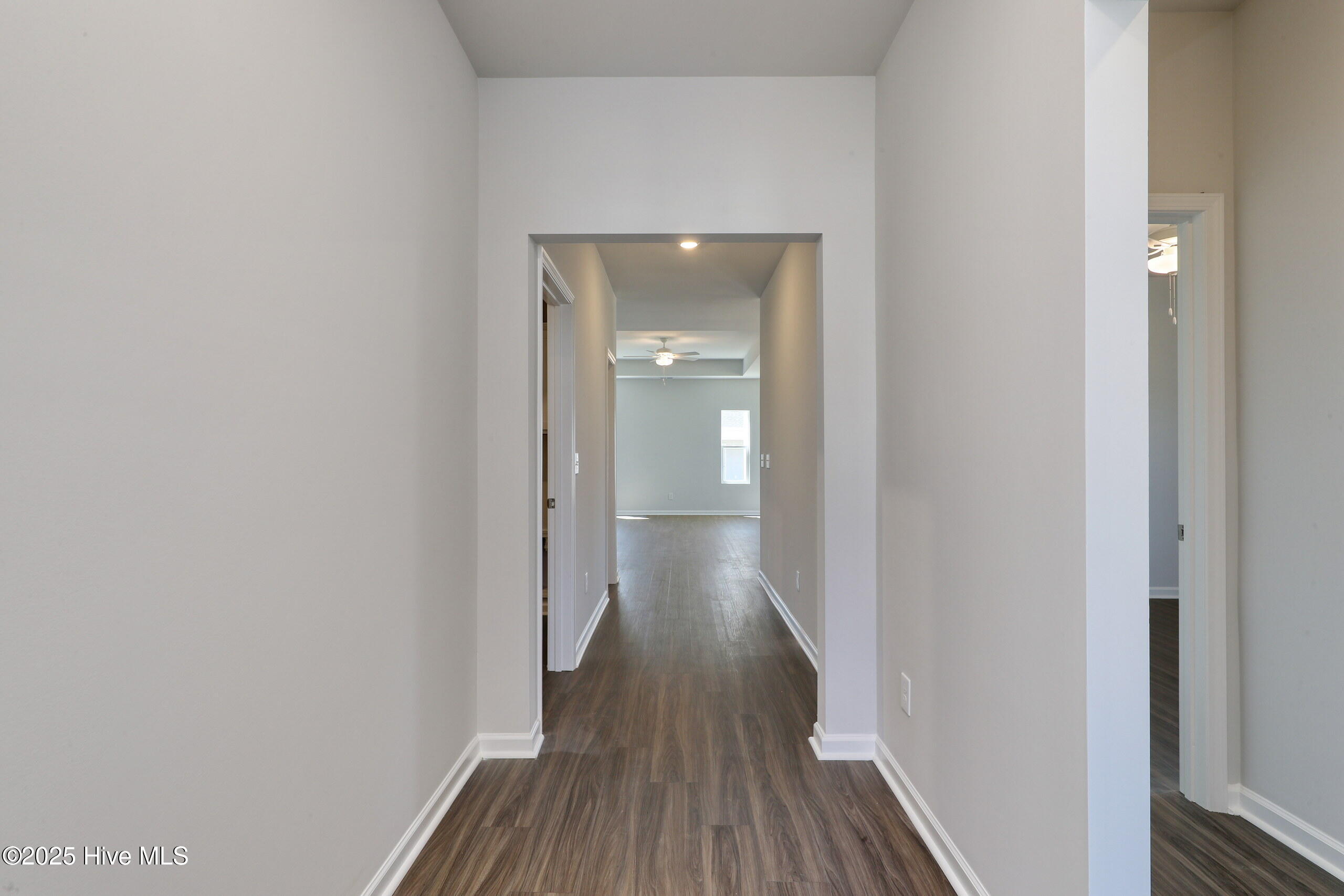 100517565 | Photo 31