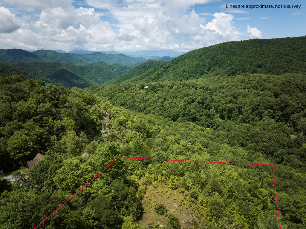 Posible View with tree clearing