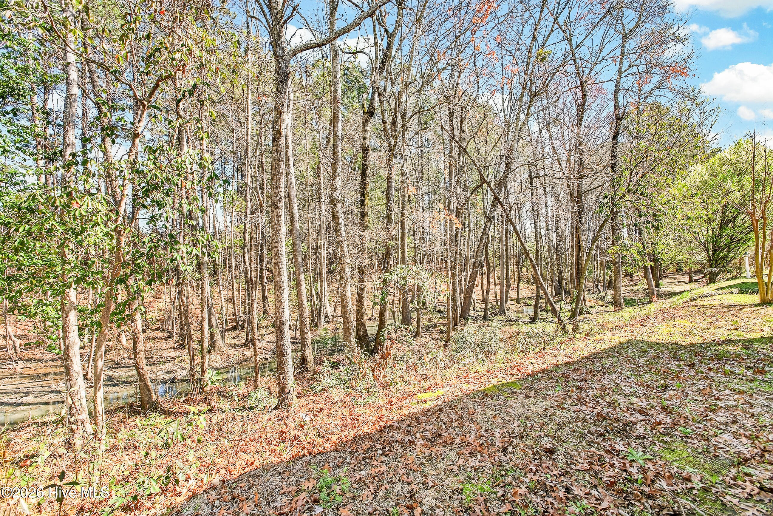 100560391 | Photo 29