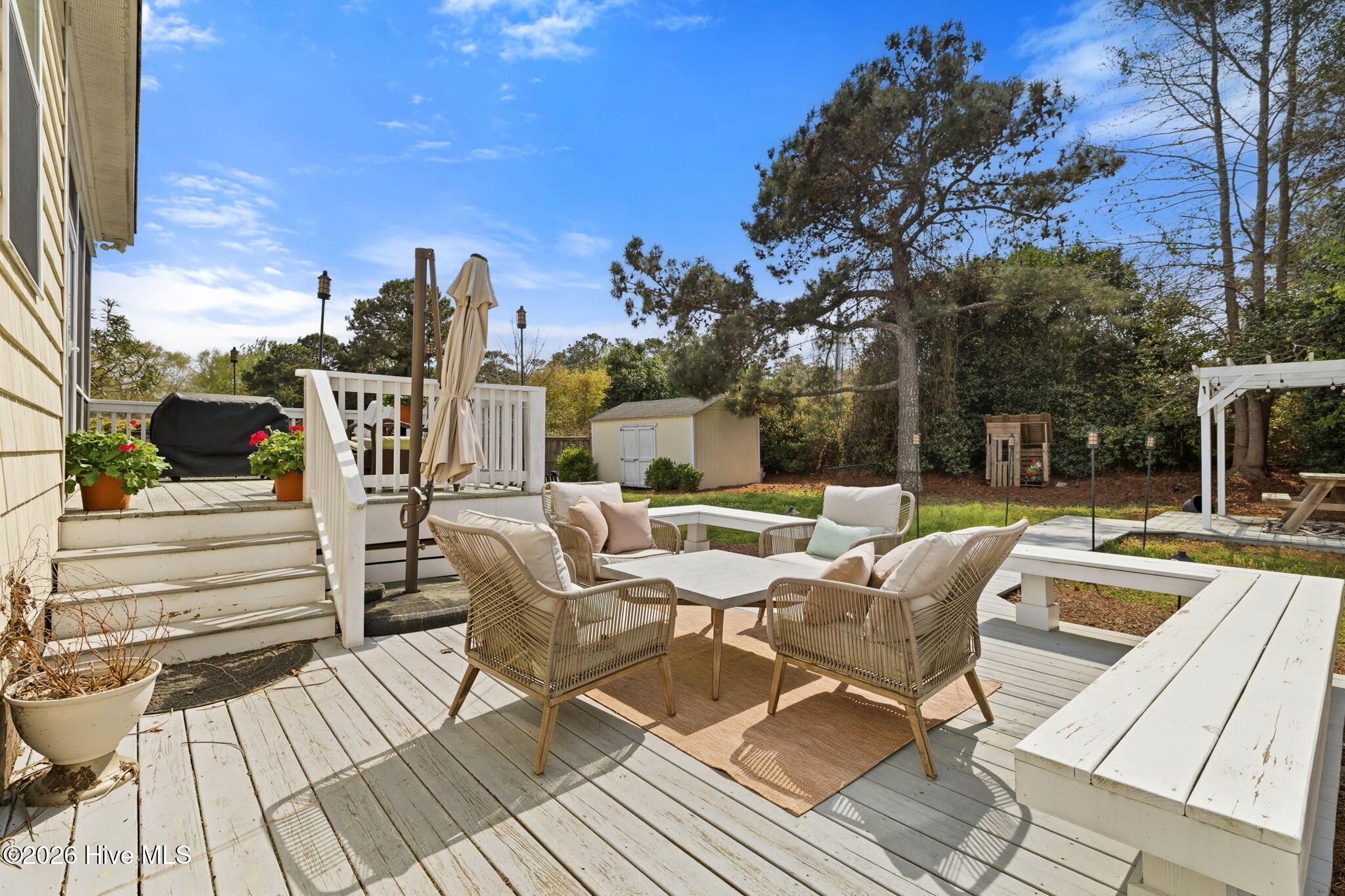 100561515 | Photo 100