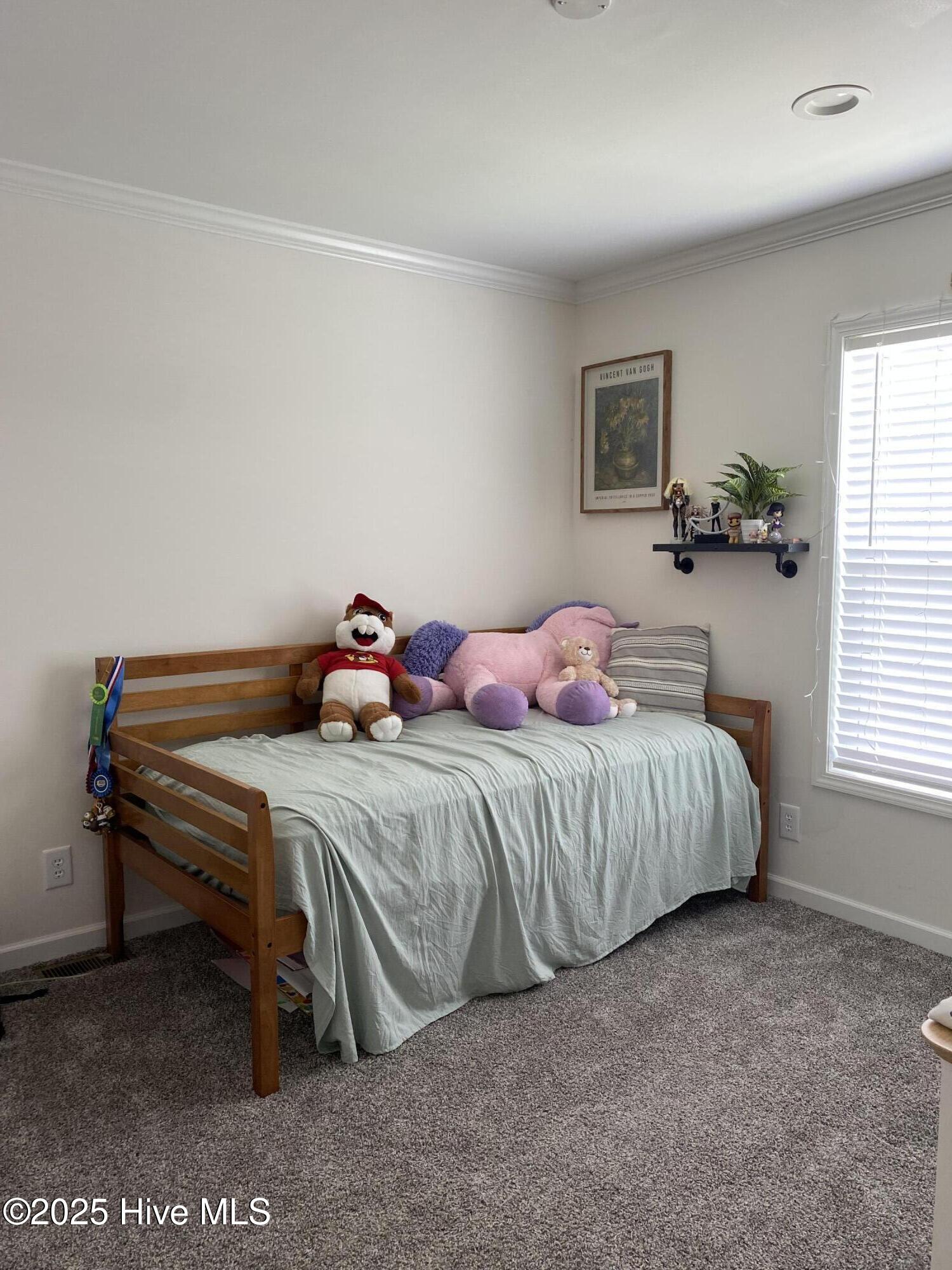 100549278 | Photo 17