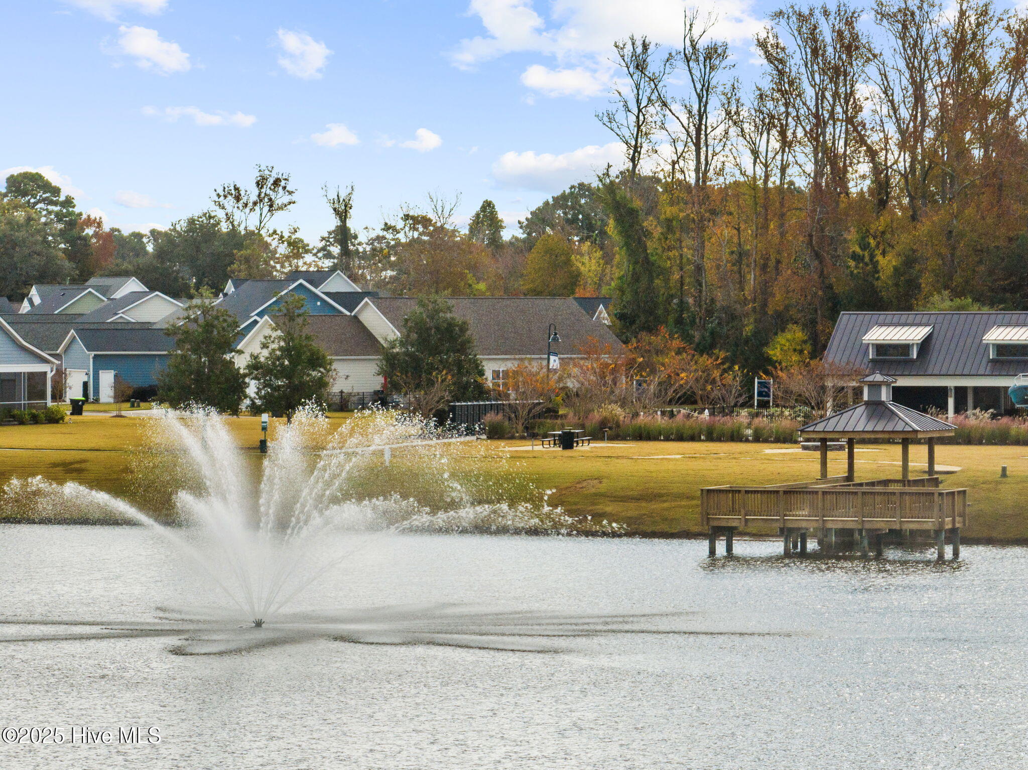 100535481 | Photo 45