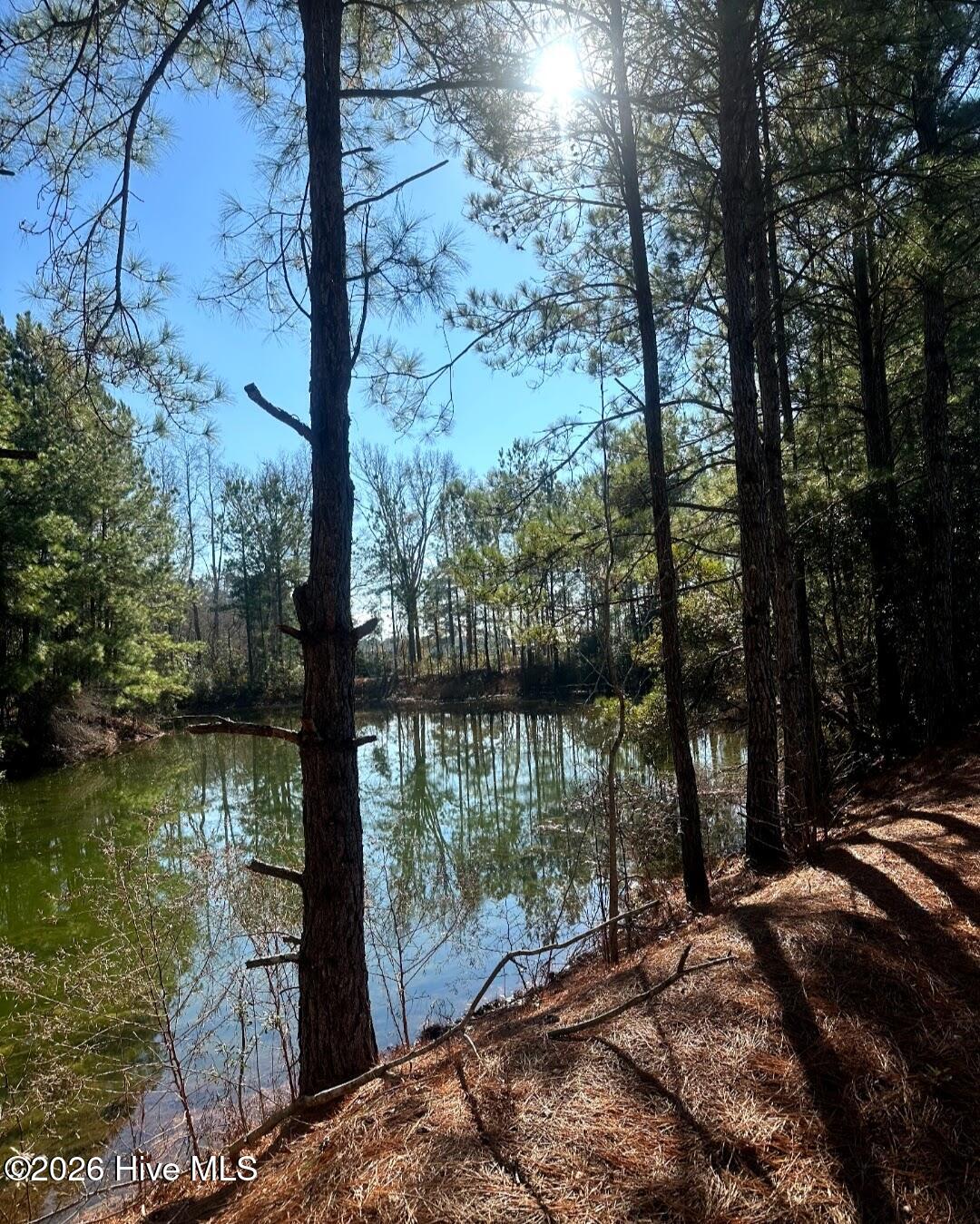 100550417 | Photo 50