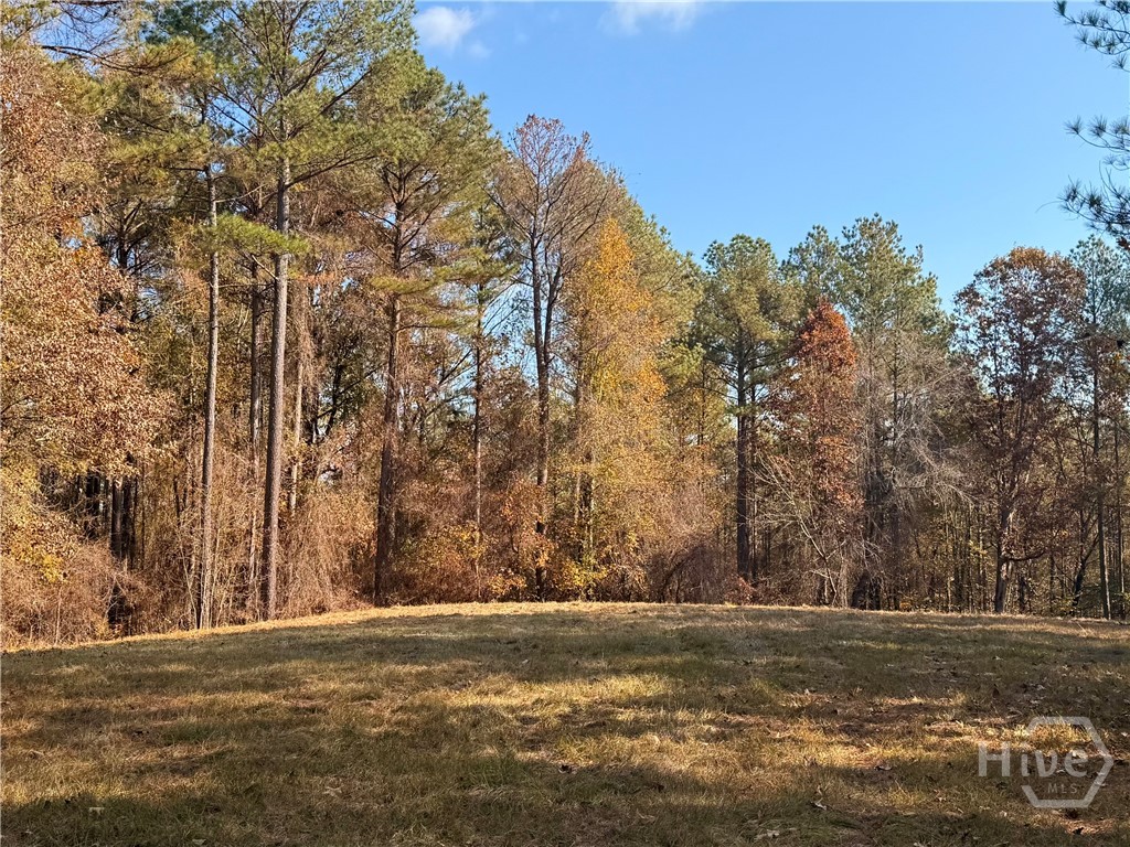 Homes for sale in Madison, GA | #8 Apalachee Ridge #1140, Madison, GA 30650 | MLS# CL343581