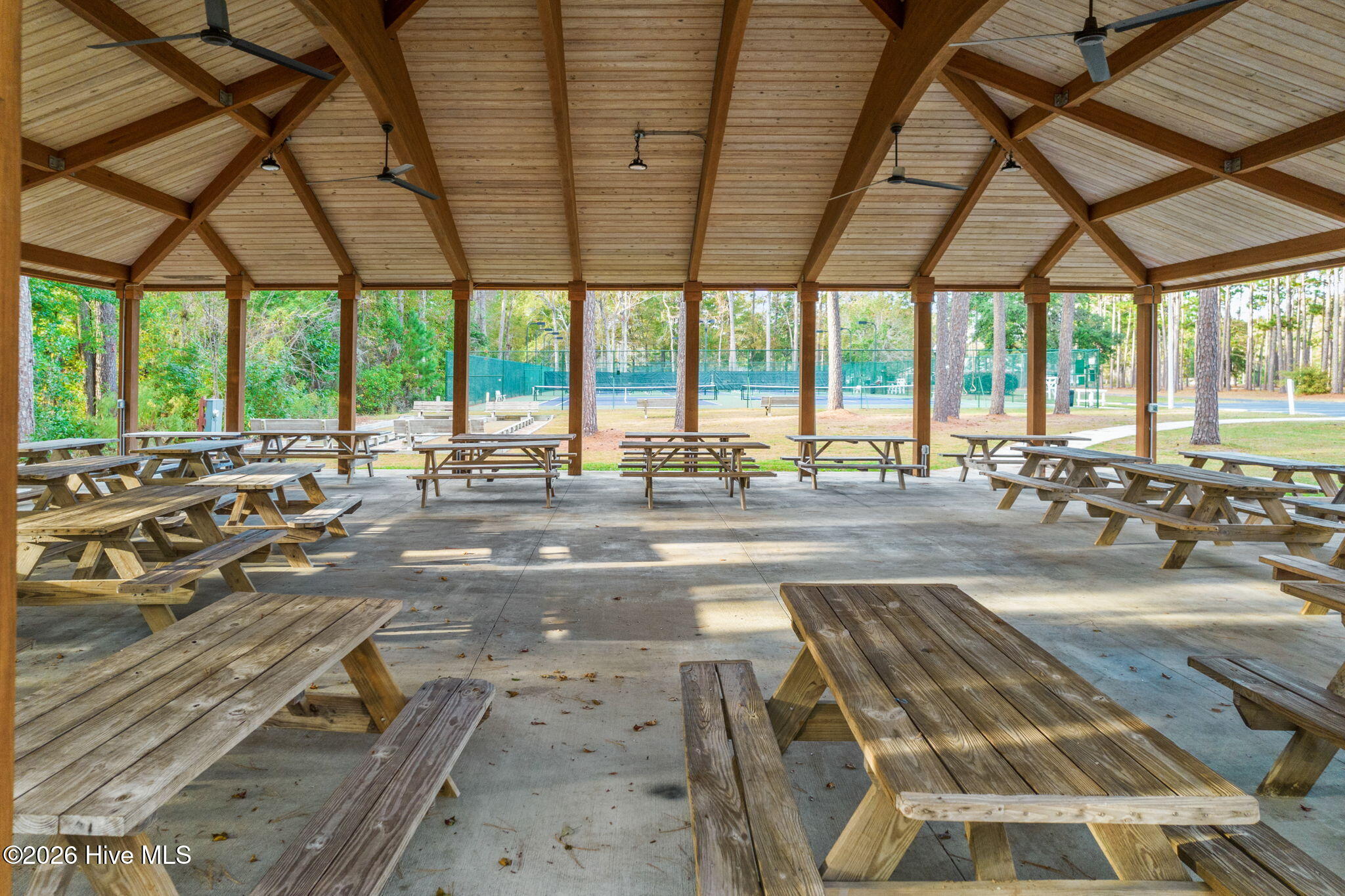 100566520 | Photo 28