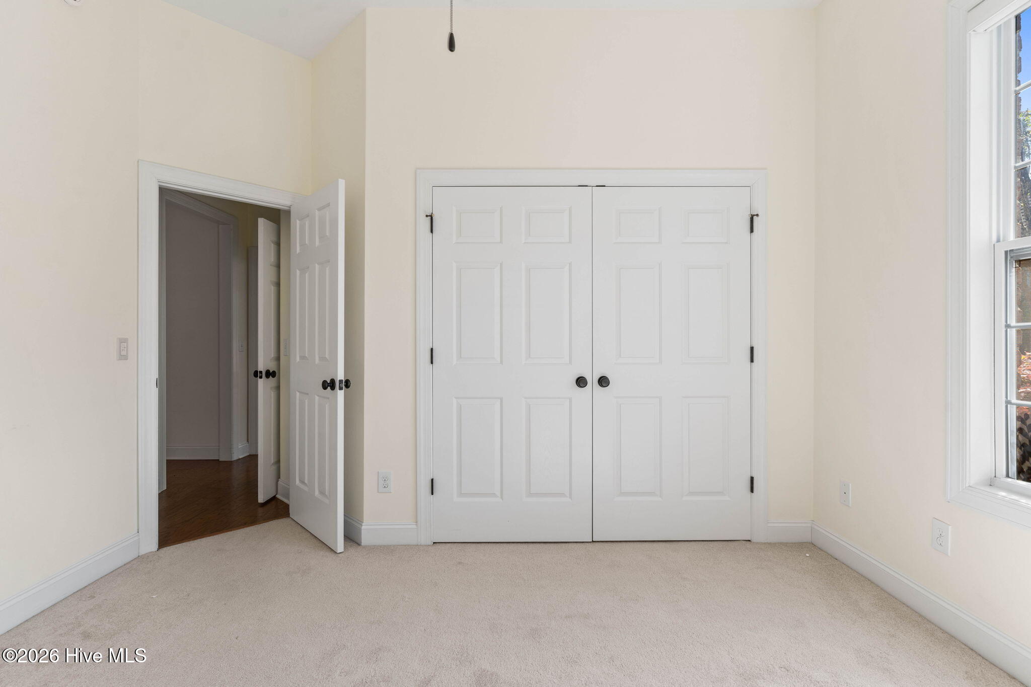 100568005 | Photo 30