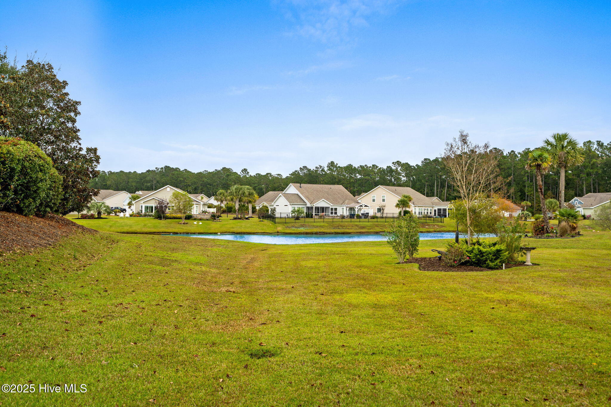 100538854 | Photo 40