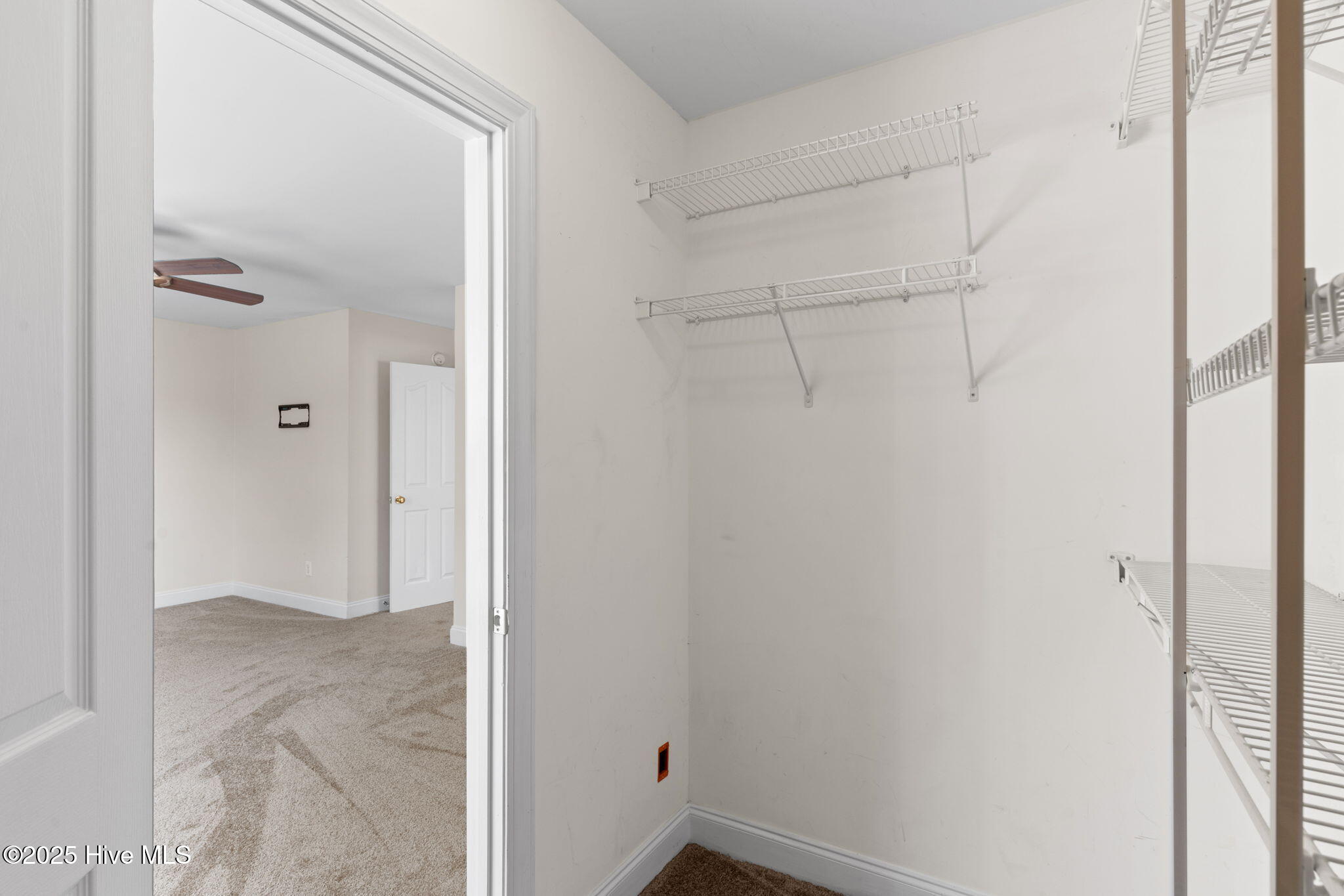 100532081 | Photo 47