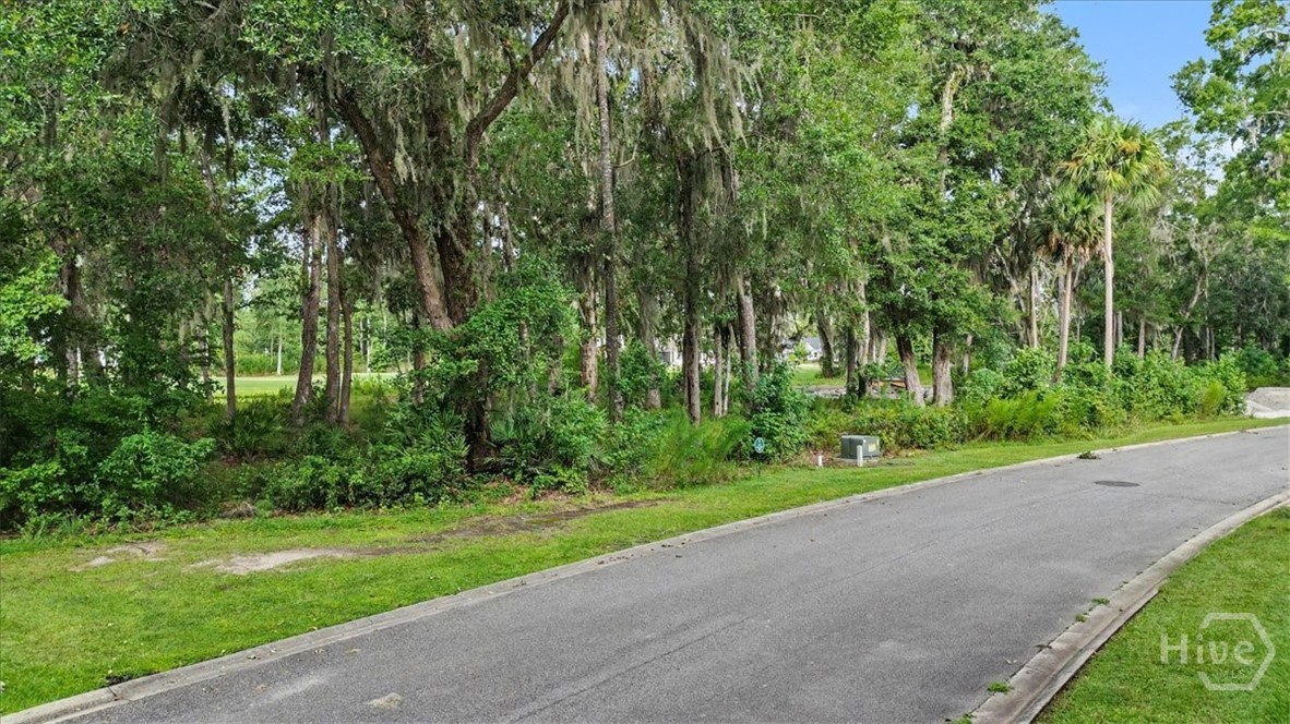 Lot 17 Eagle Crest, Waverly, Georgia, 0 ,Land,For sale,Eagle Crest,SA363249
