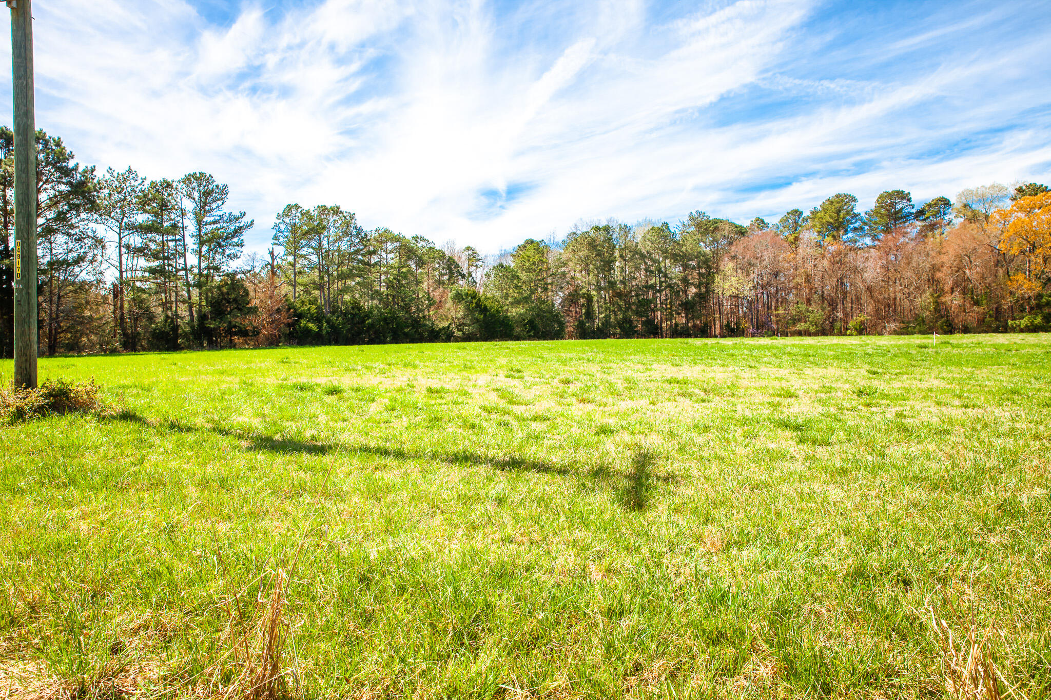 3520 Mistletoe Rd Road, Appling, GA 30802 Listing Photo  1