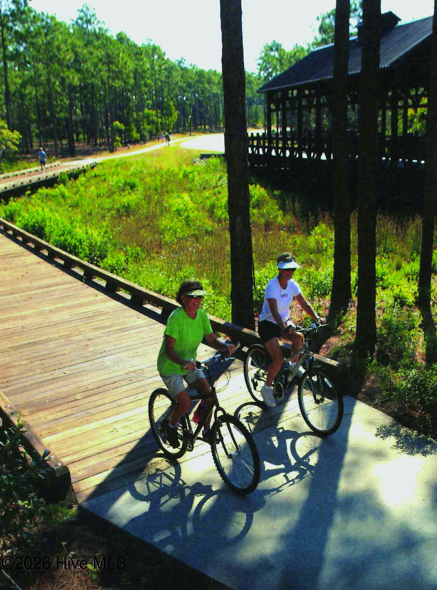 100566382 | Photo 66