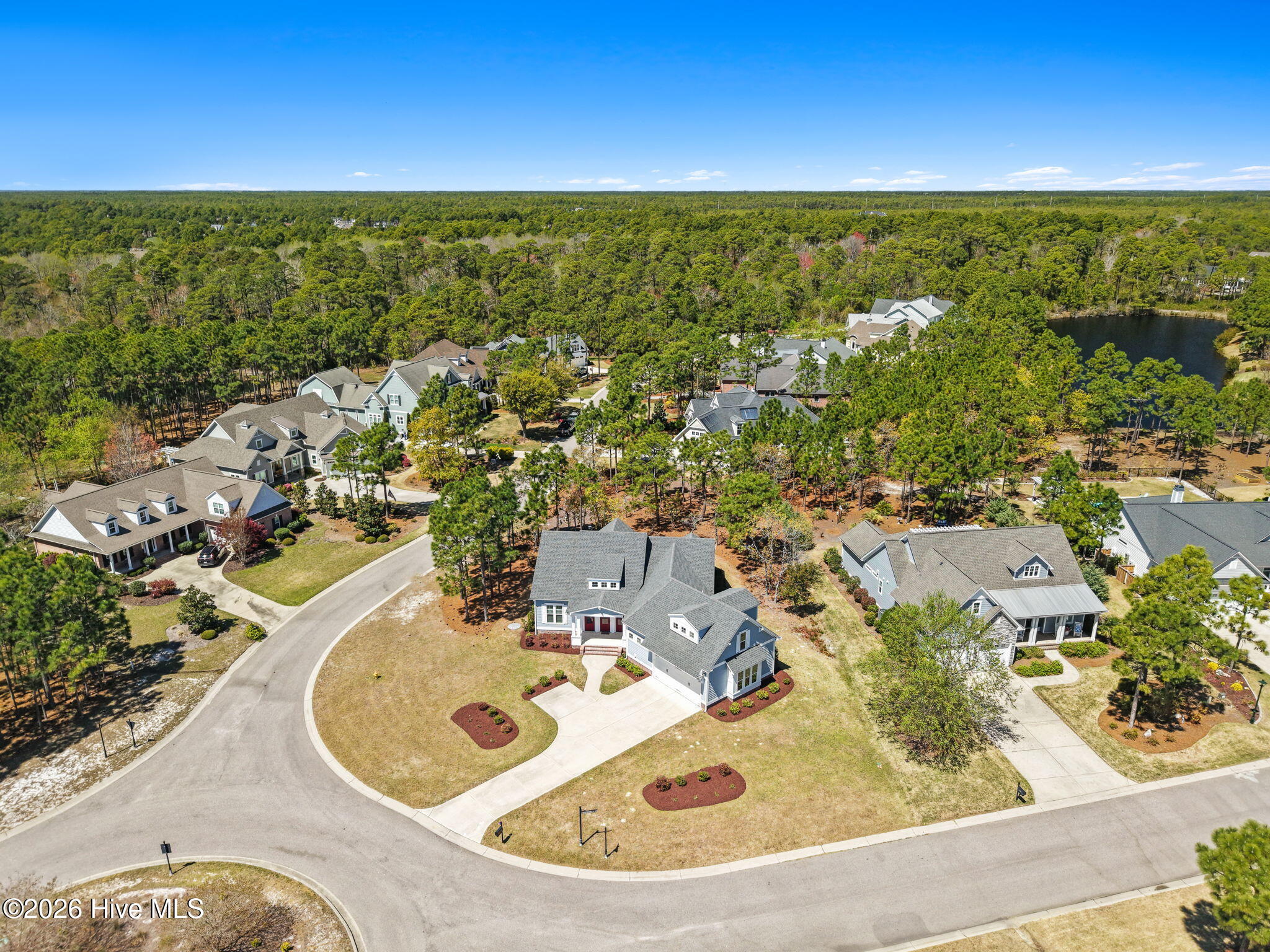 100564943 | Photo 53