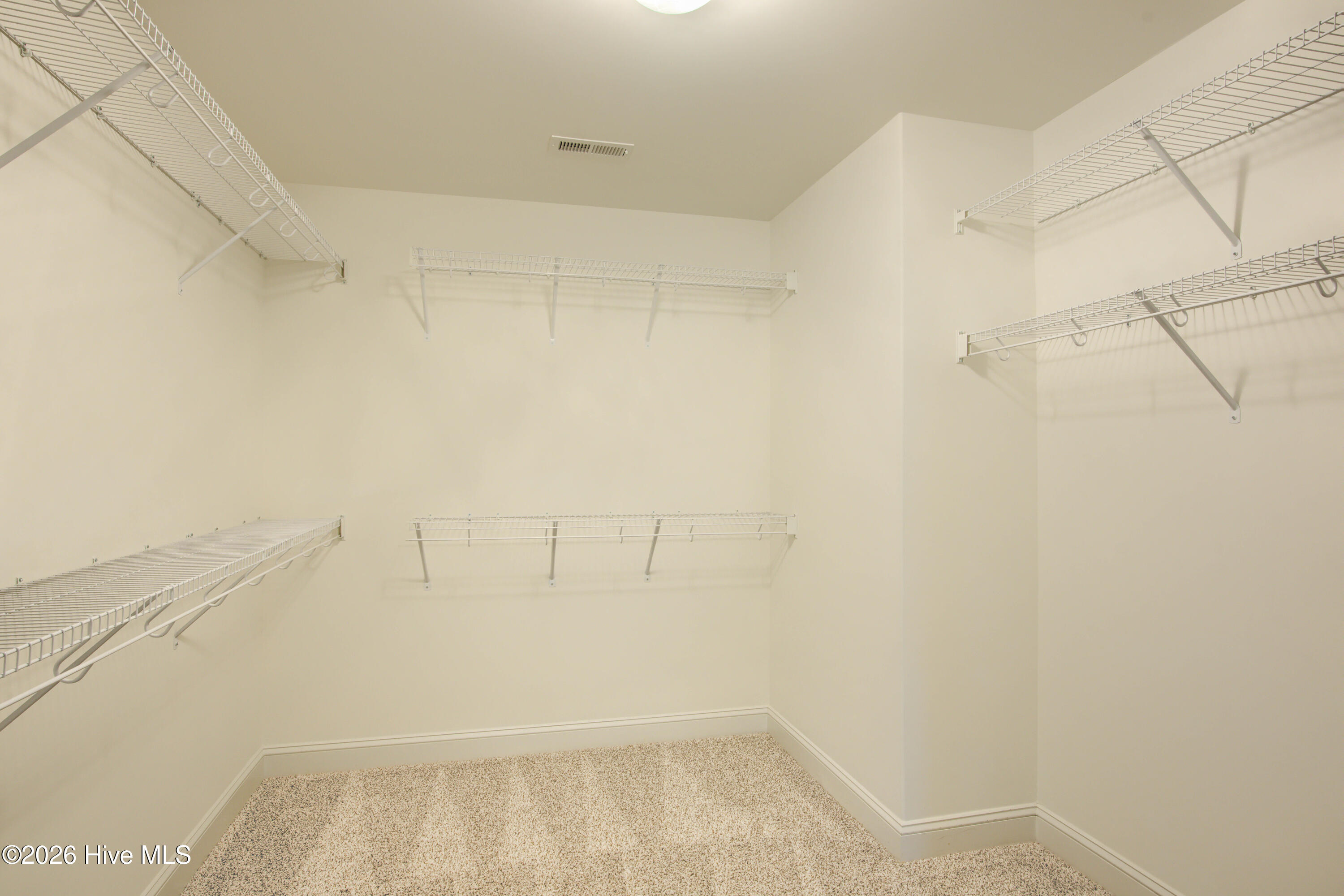 100557934 | Photo 17