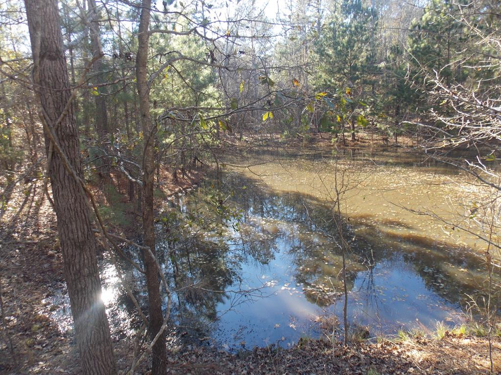 1 Baker Davis Road, Lincolnton, GA 30817 Listing Photo  1